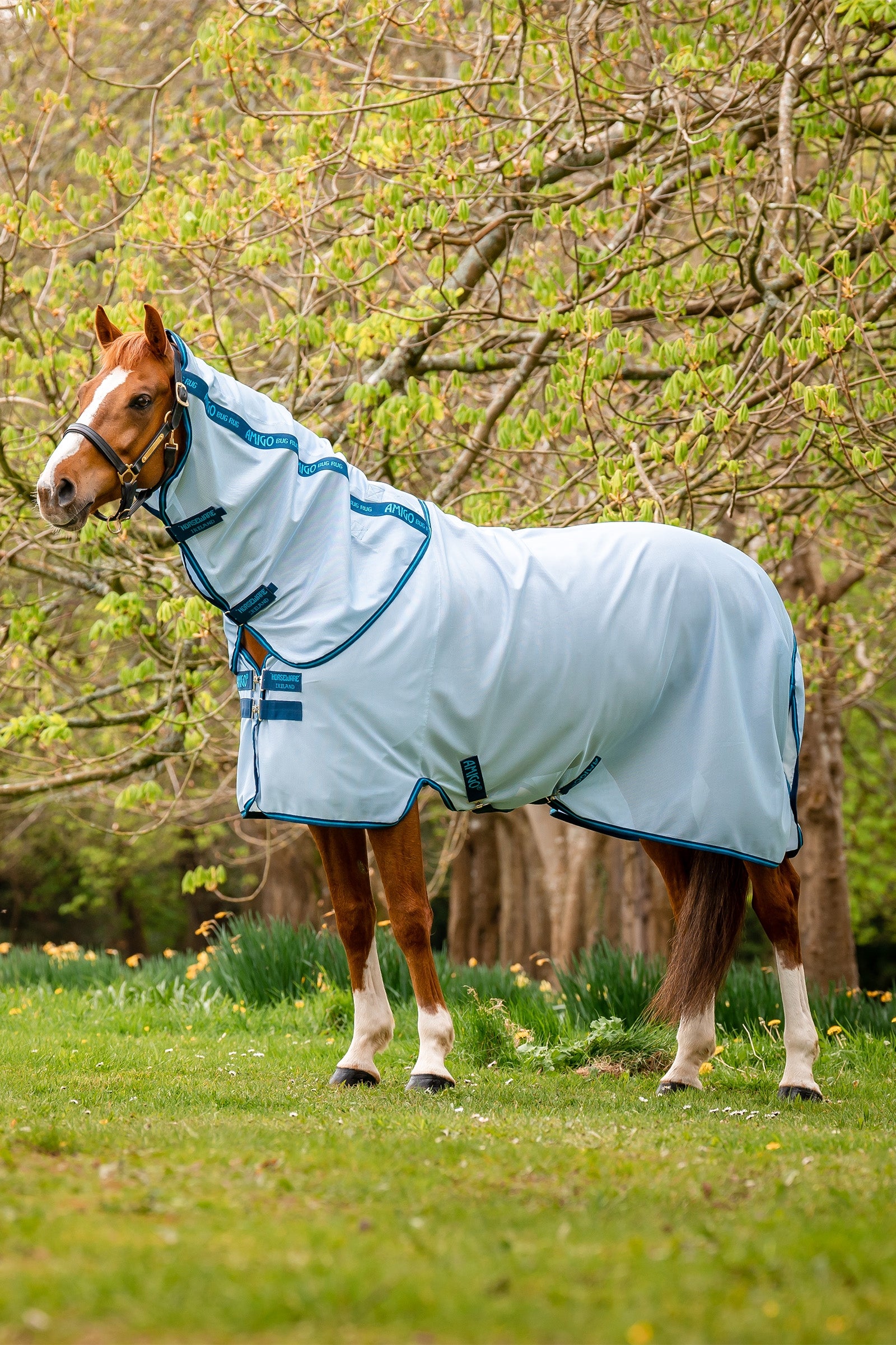 Horseware Amigo Mucholapka Horse Rugs
