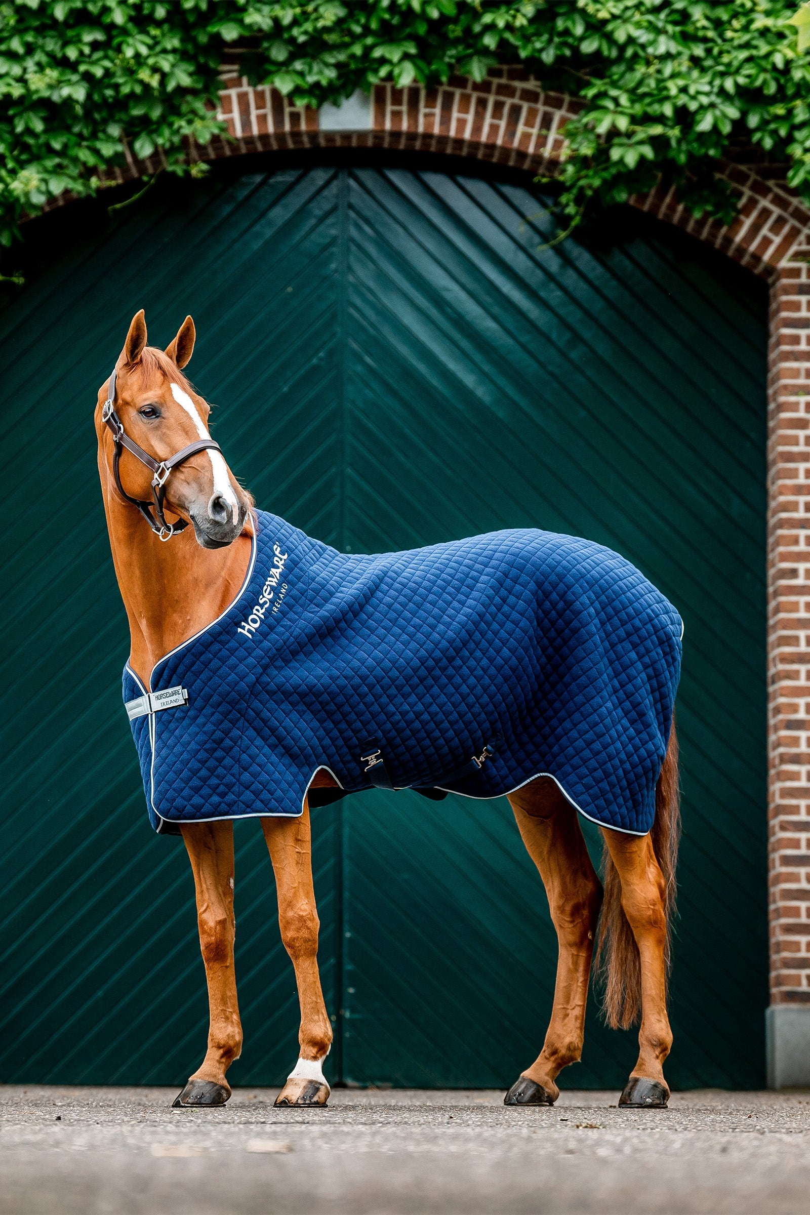 Horseware Podzimní odpocovací deka Horse Rugs