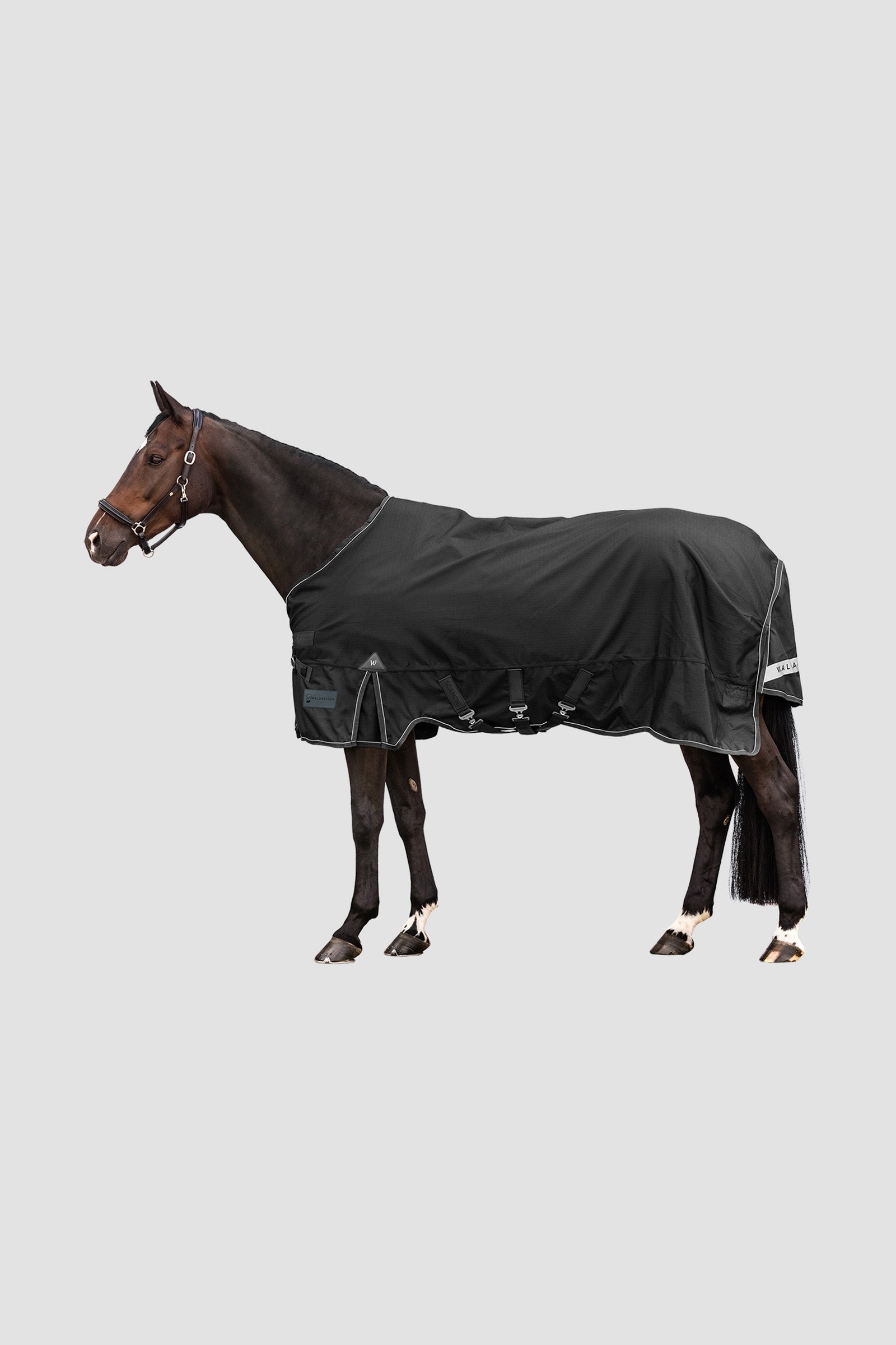 Waldhausen Outdoor Rug Scandic 300 g Horse Rugs