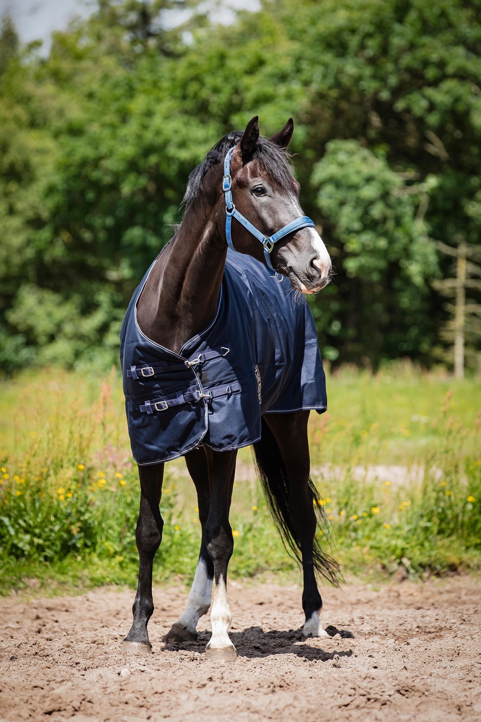 Horse Guard HorseGuard Landon 1200D Turnout Rug Standard Neck, 0 g Horse Rugs