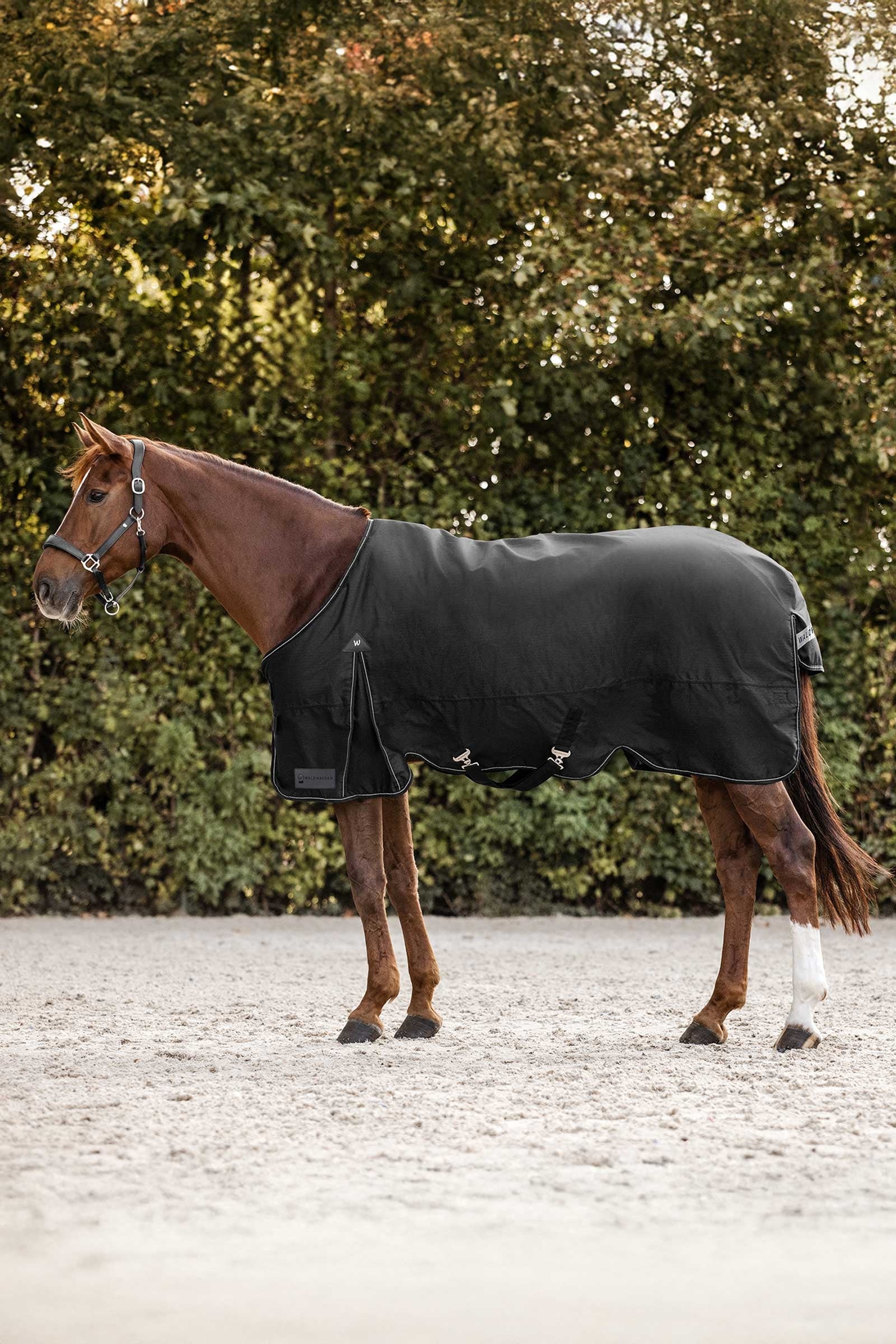 Waldhausen Arctic Výběhové deky, 50g Horse Rugs