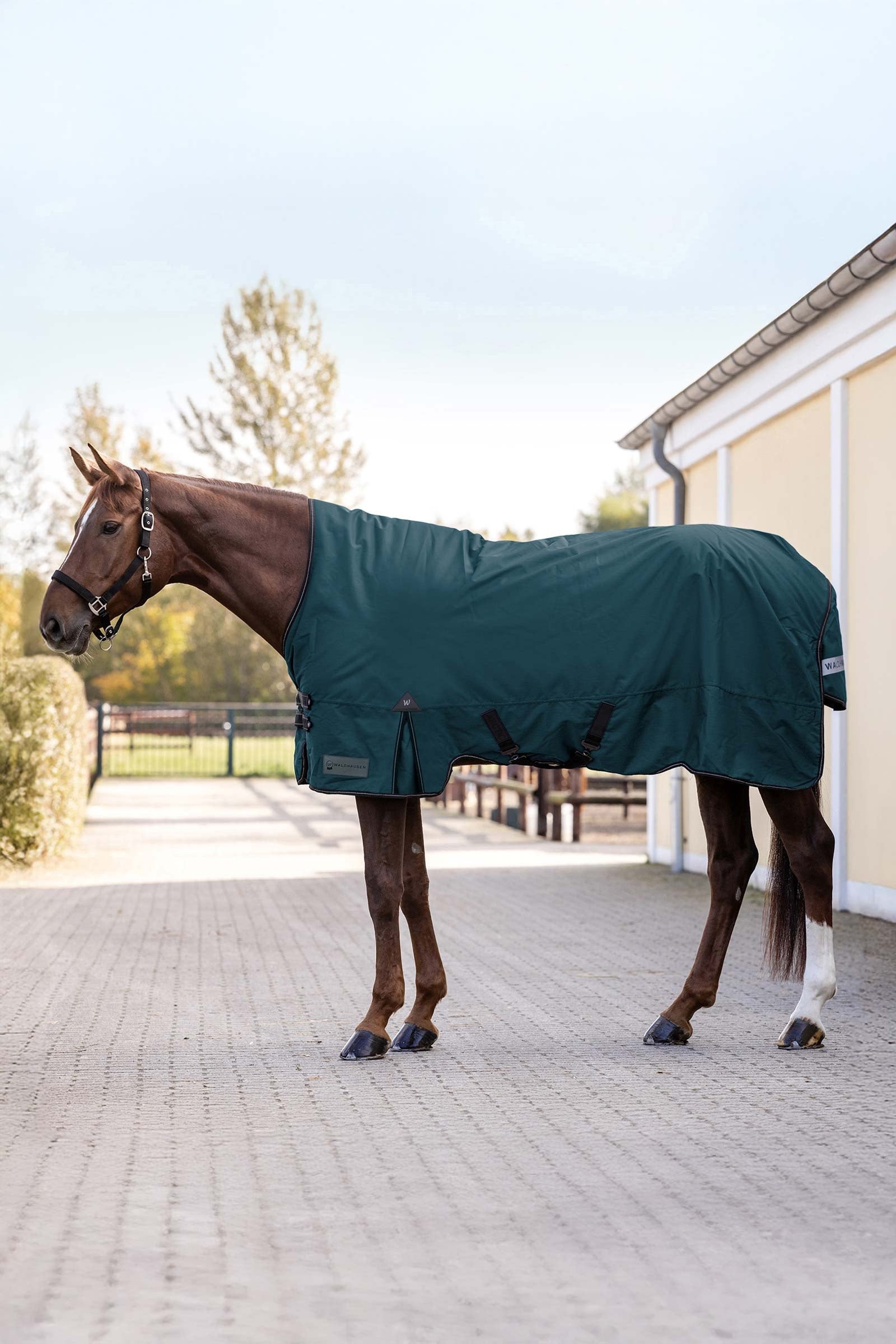 Waldhausen Arctic Výběhové deky, 50g Horse Rugs