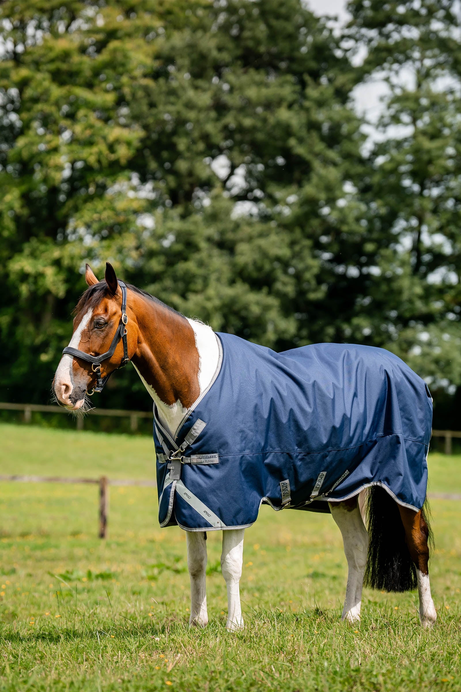 Horseware Amigo 1200D výběhová deka, 50 g Horse Rugs