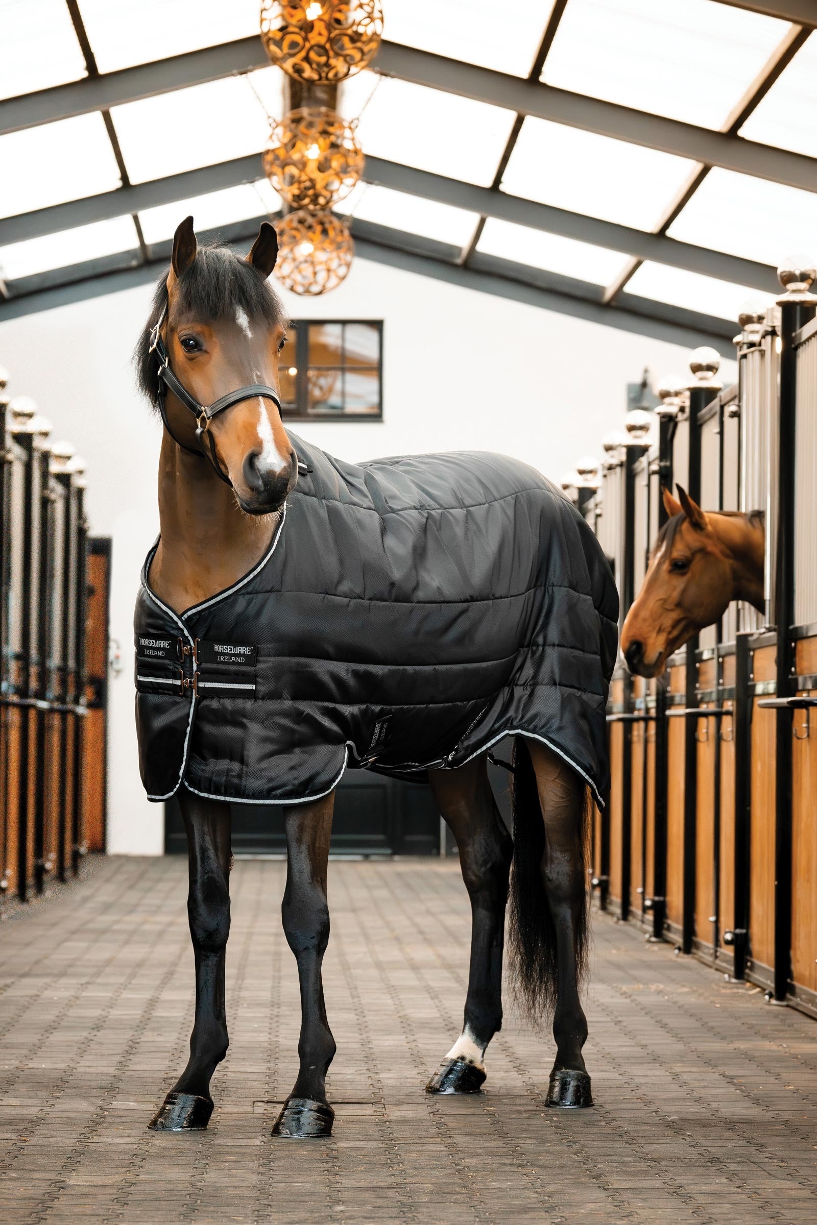 Horseware Easy-Layer stájová deka 100g Horse Rugs