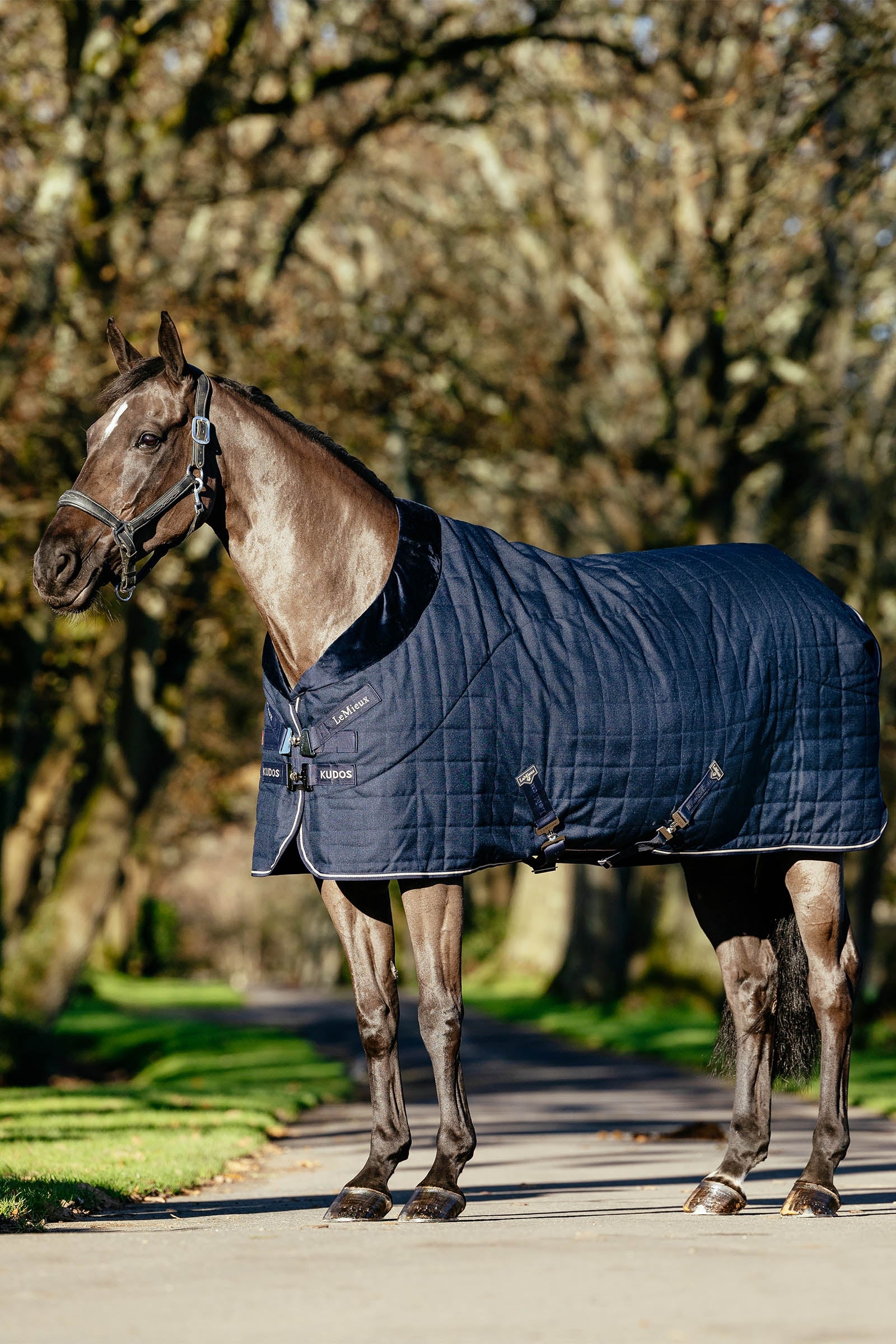 LeMieux Kudos Luxe podšitá stájová deka, 100 g Horse Rugs