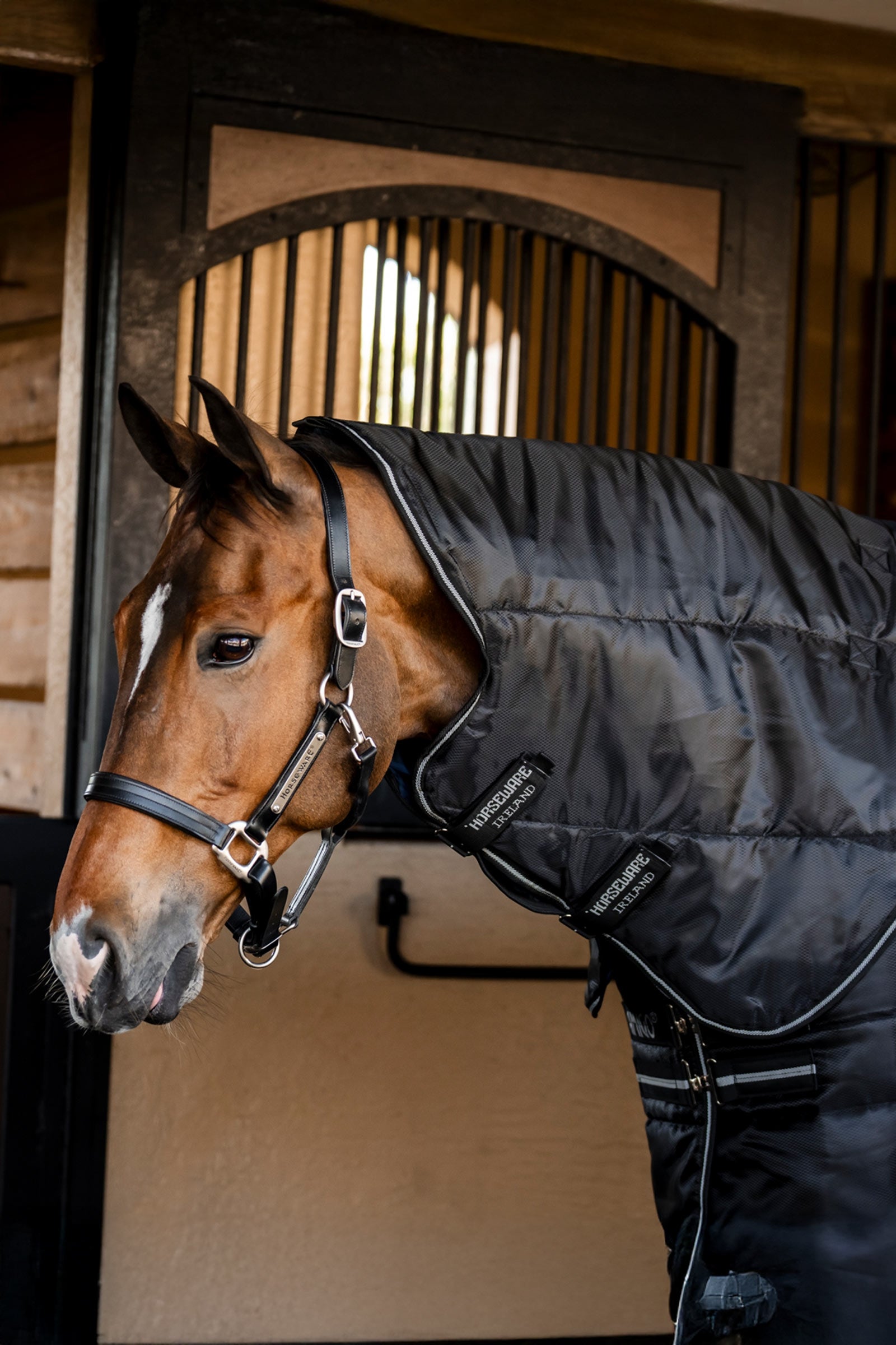 Horseware Amigo Ripstop Insulator Plus stájová deka, 200 g Horse Rugs