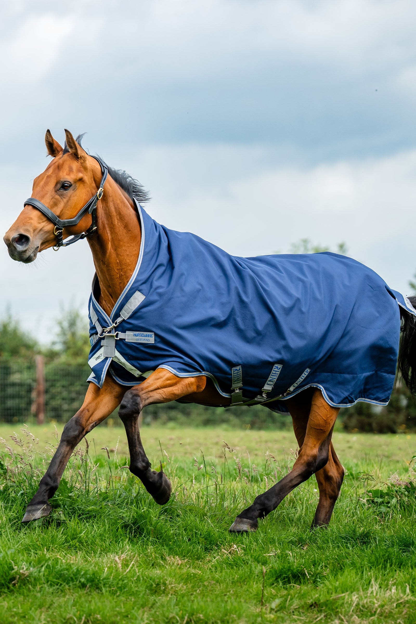 Horseware Rhino Wug výběhová deka, 100 g Horse Rugs