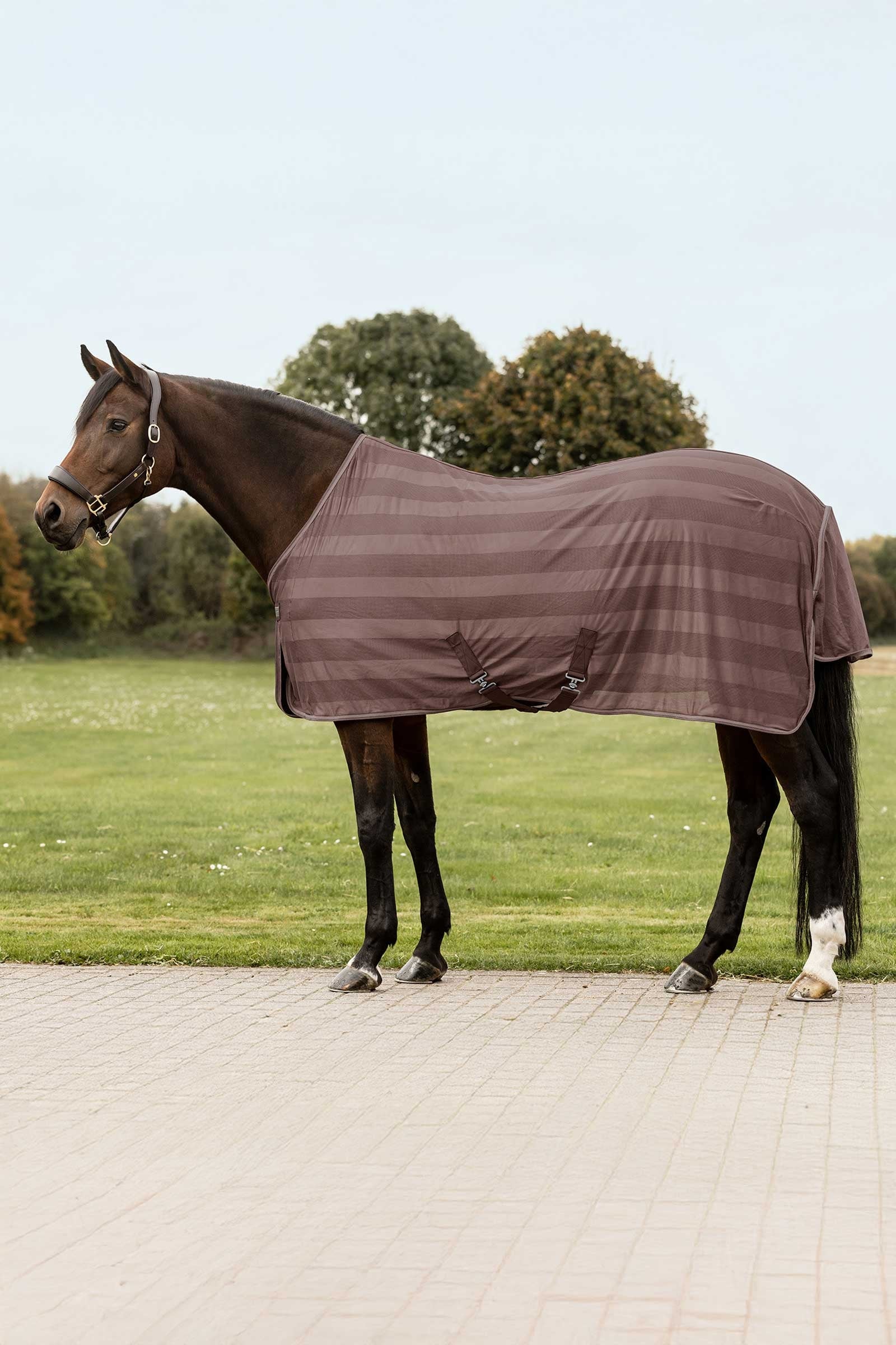 Waldhausen Economic muchová deka Horse Rugs
