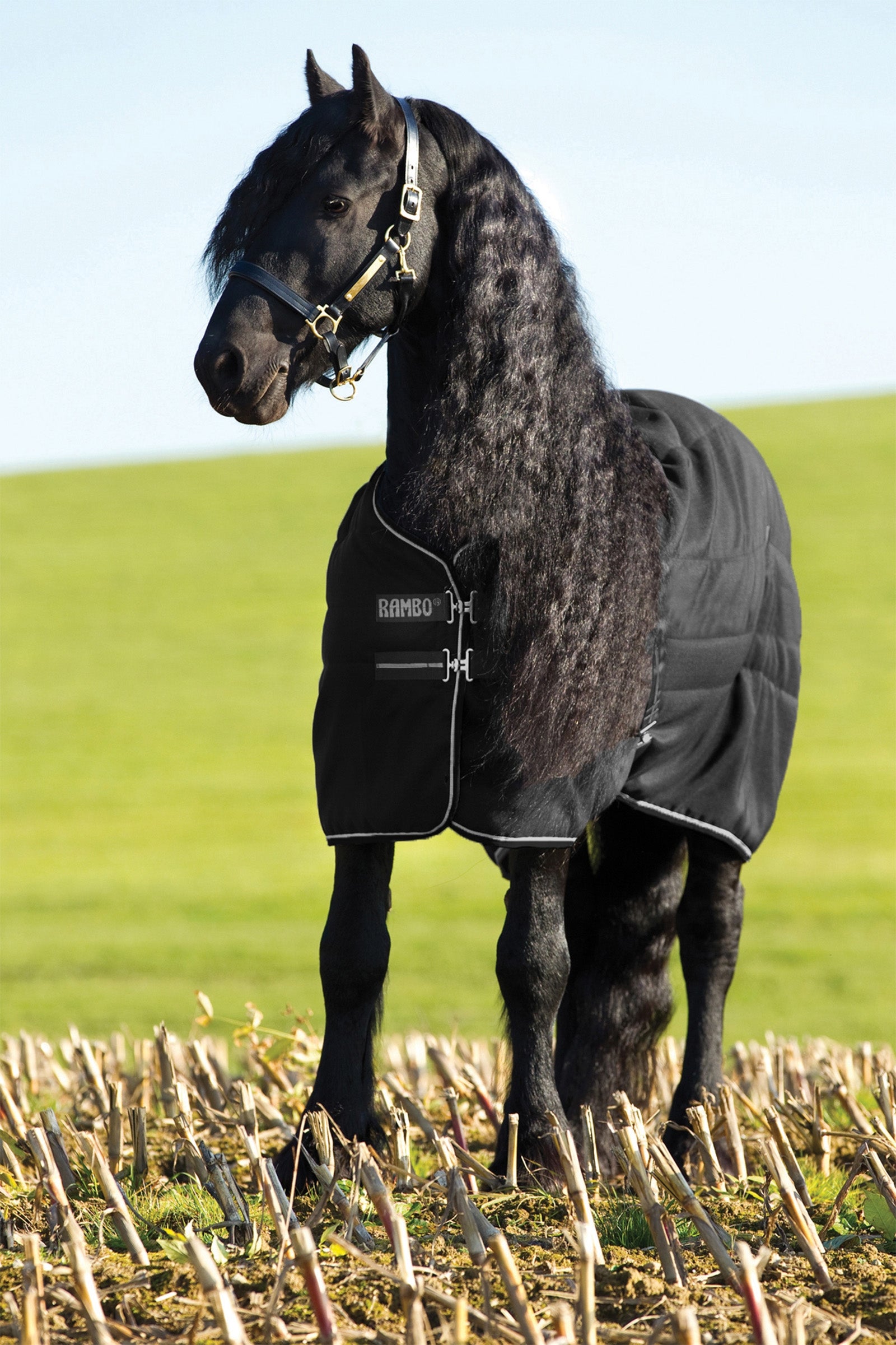Horseware Koně Rambo Stable 200g Horse Rugs