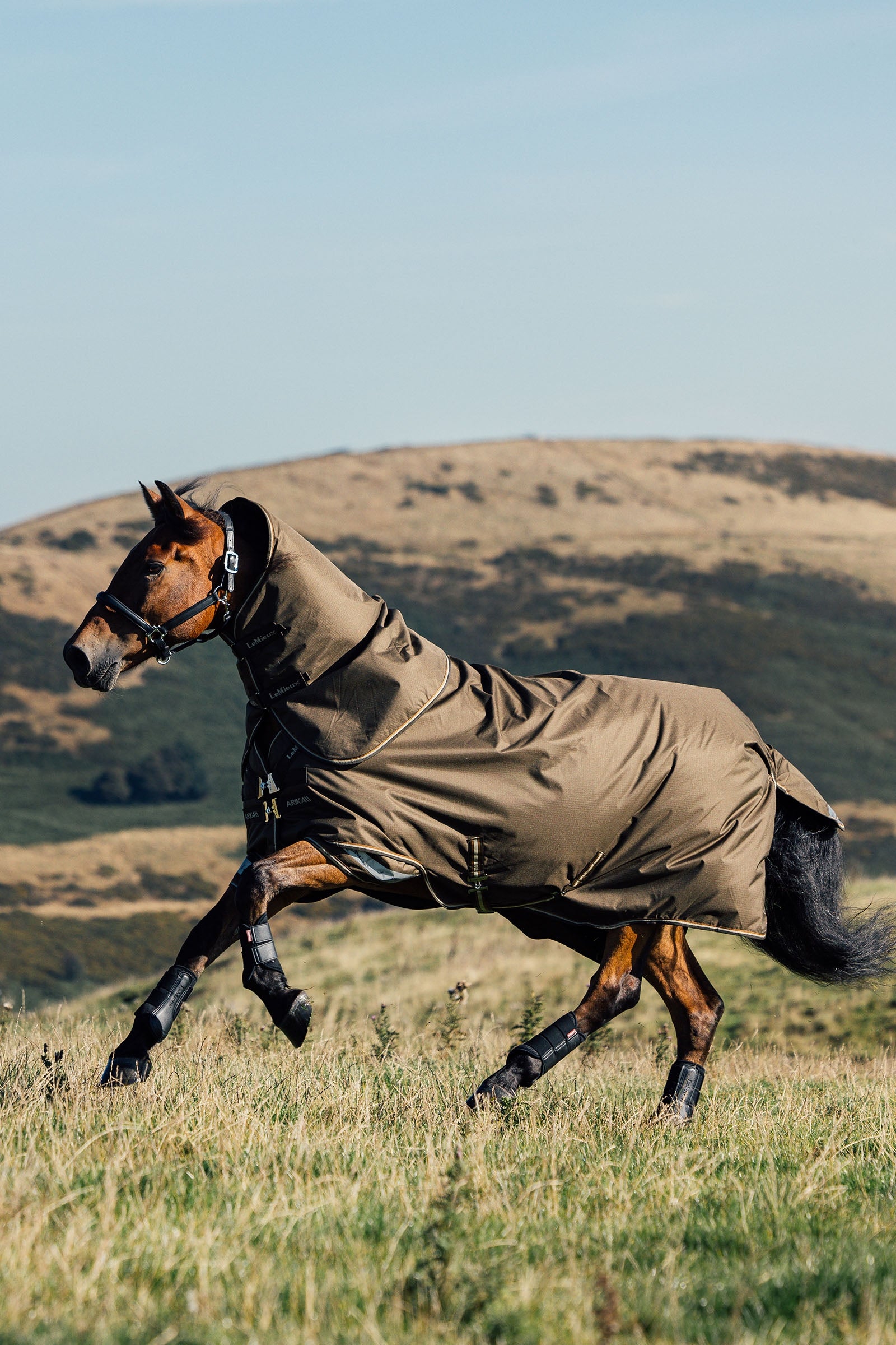 LeMieux Arika Ripstop Turnout Rug With Detachable Neck, 0 g Horse Rugs