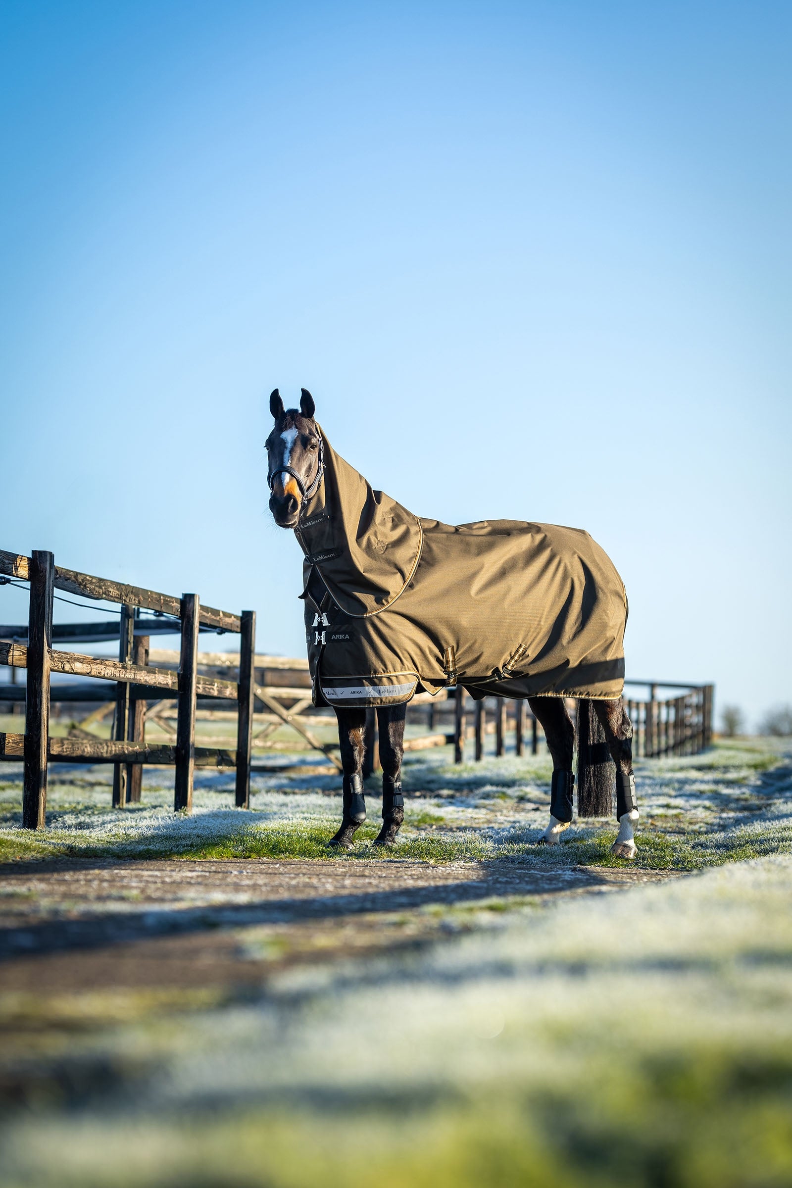 LeMieux Arika Ripstop Turnout Rug With Detachable Neck, 0 g Horse Rugs