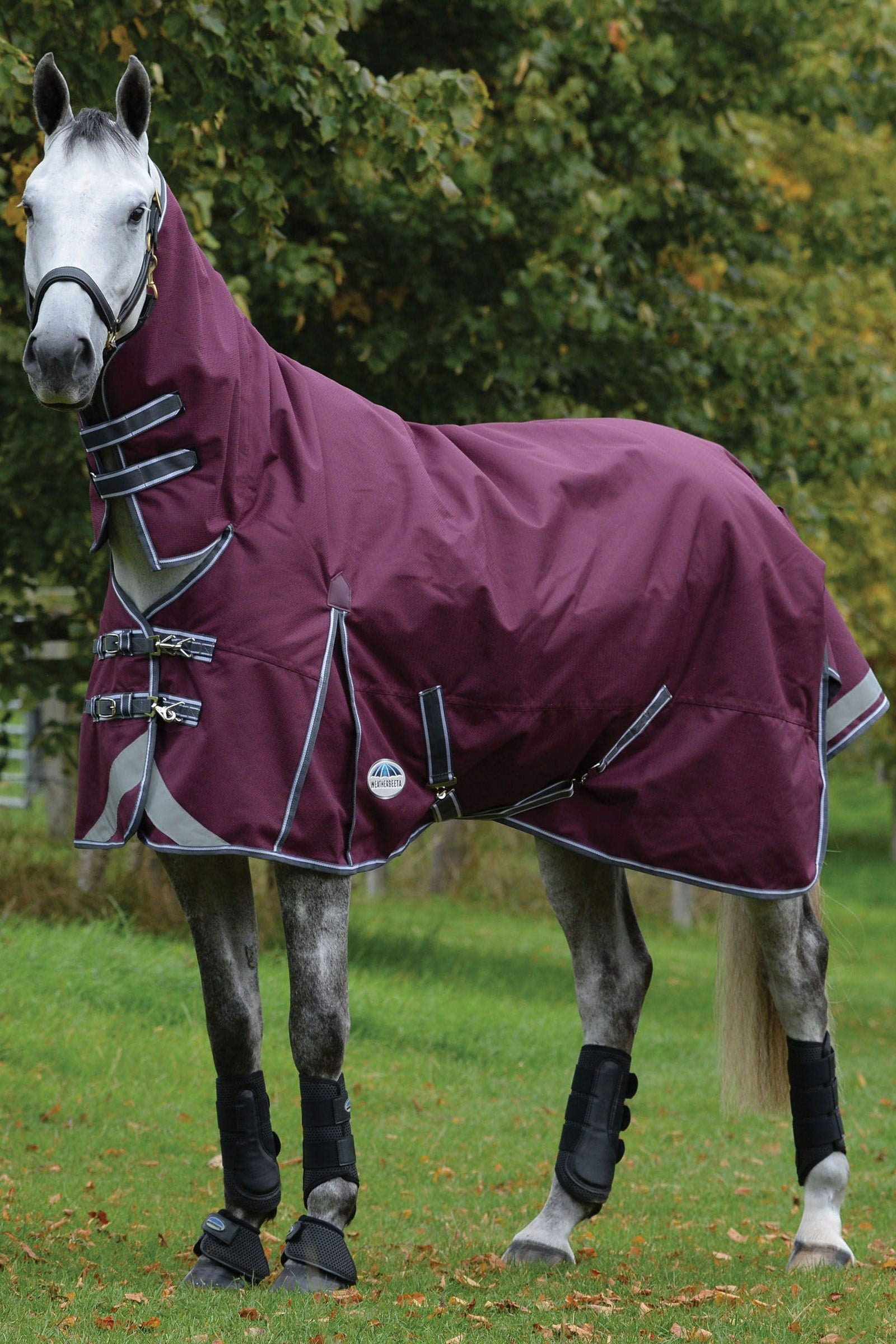 Weatherbeeta Comfitec Plus Dynamic II Combo Neck Turnout Rug, 220g Horse Rugs