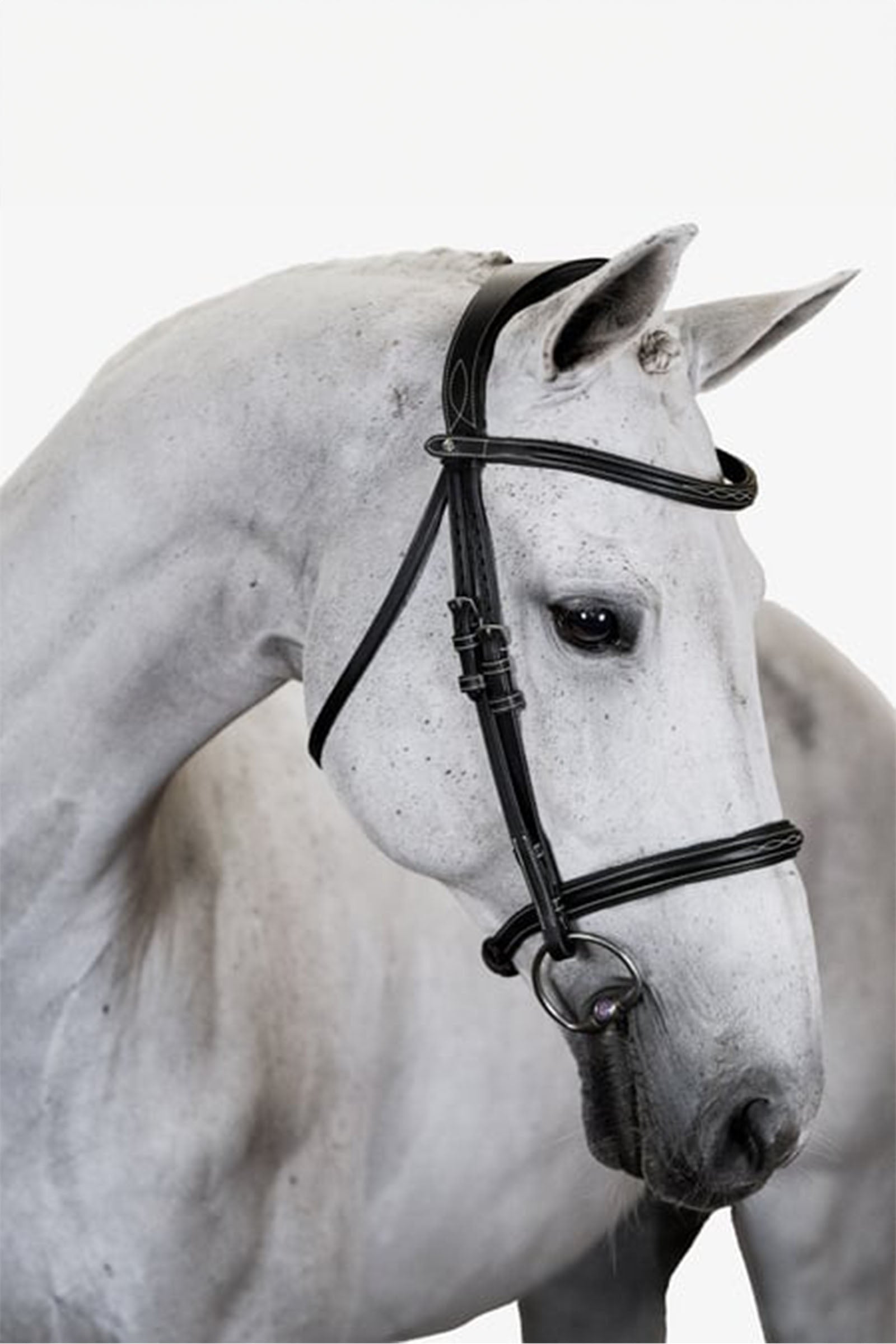 PS of Sweden Ocala uzda Bridles & Reins