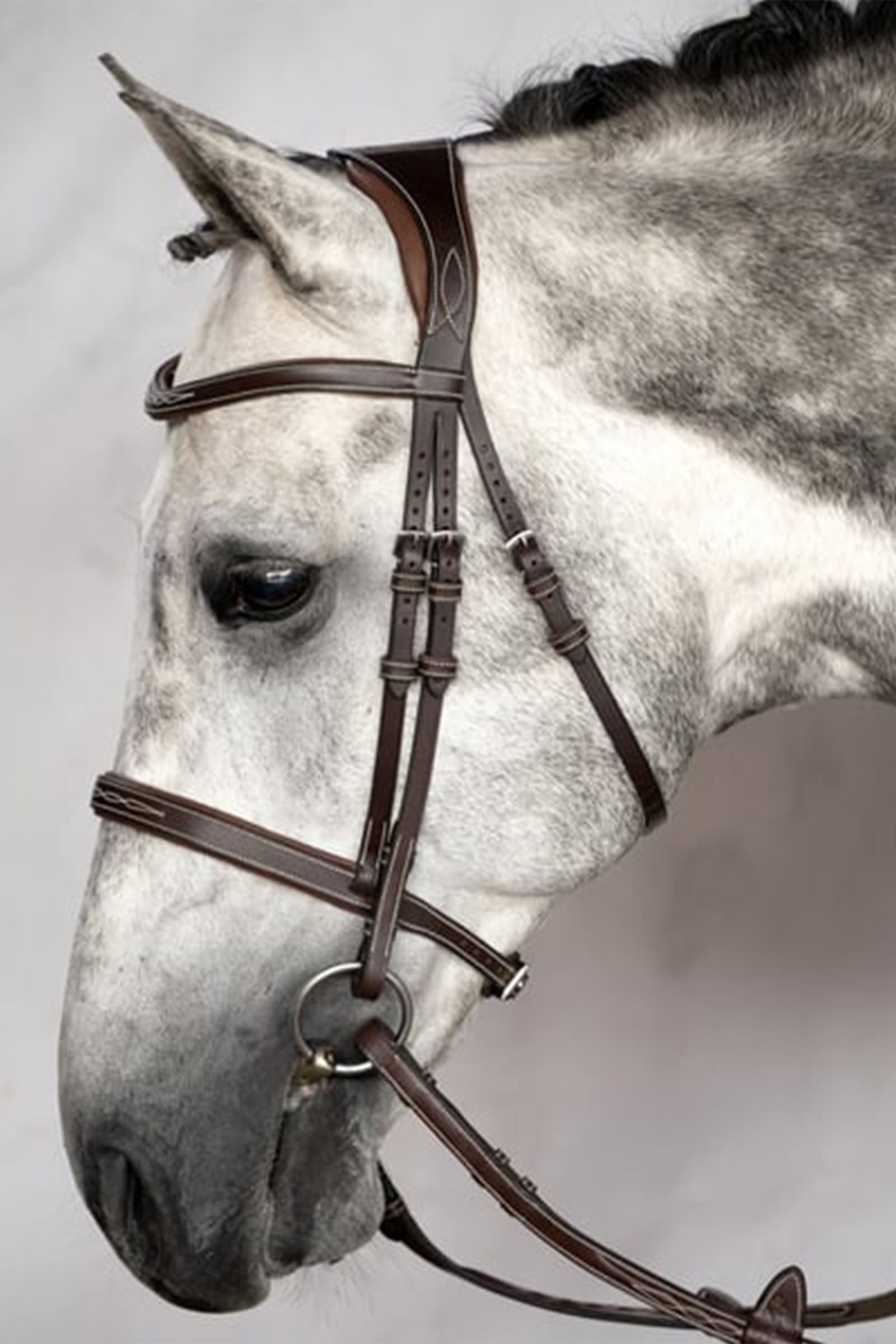 PS of Sweden Ocala uzda Bridles & Reins