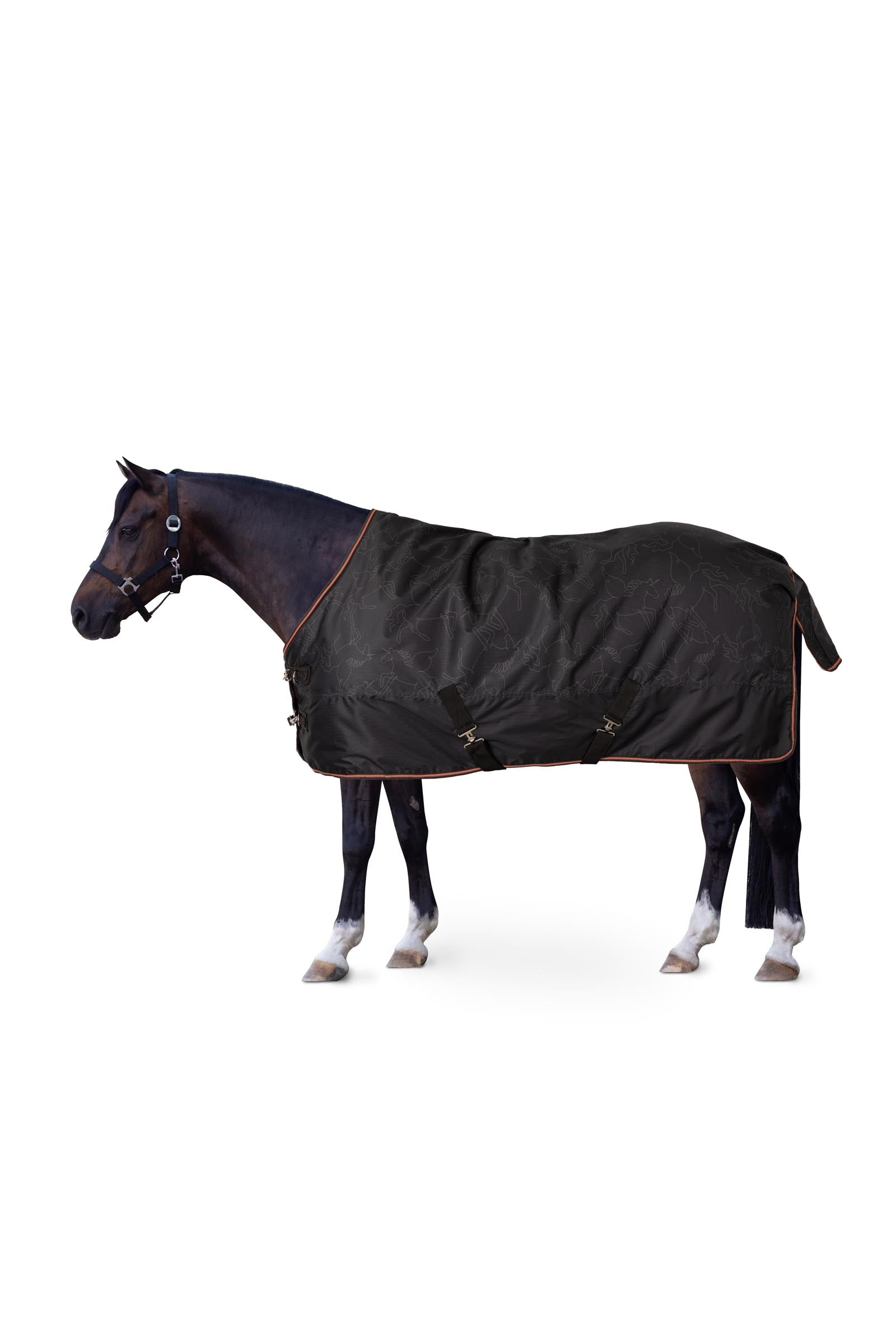 Horze Výběhová deka pro poníky Pegasus 200 g/m² Horse Rugs