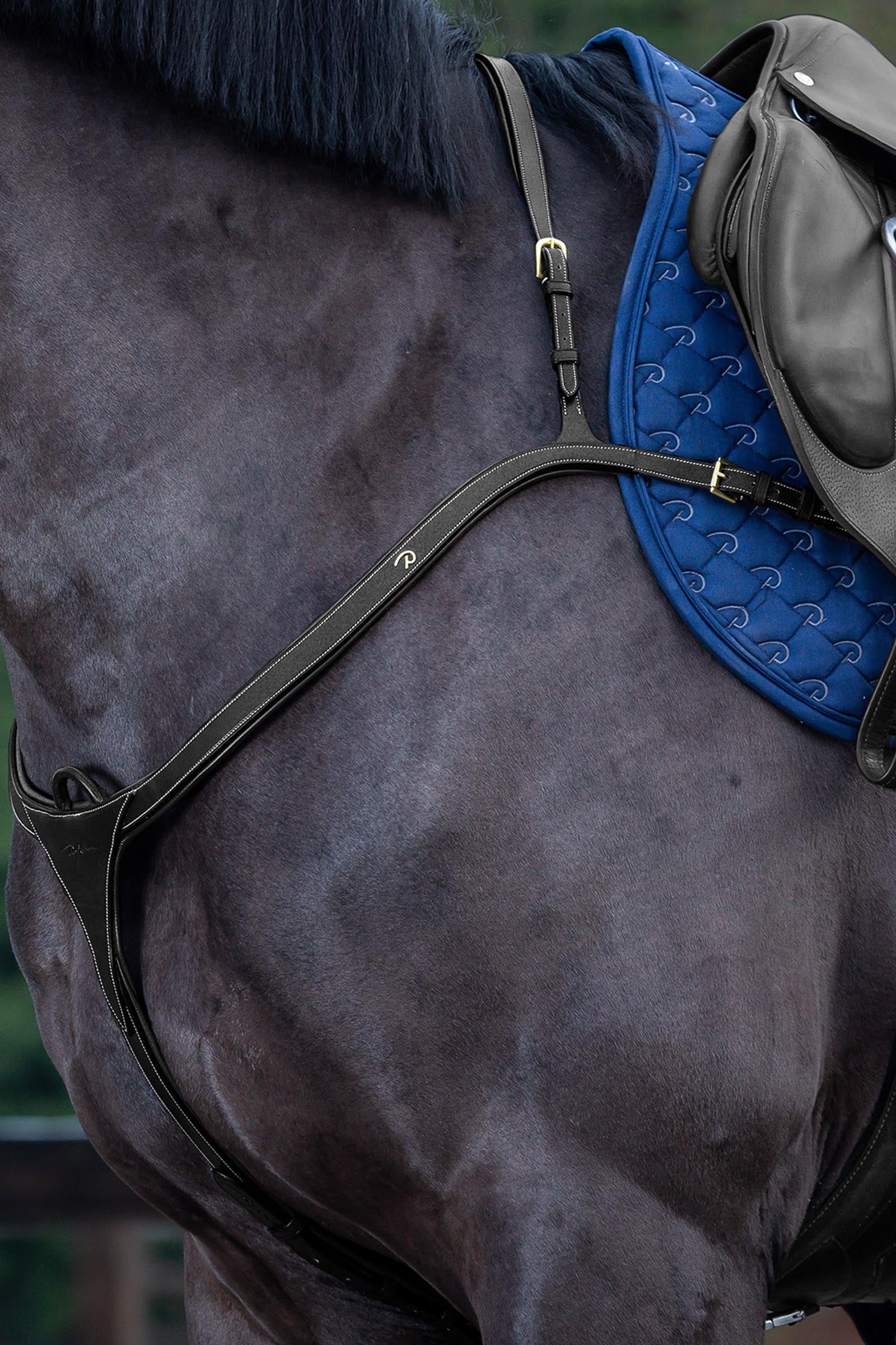 Dy'on D Collection prsní postroj s dlouhým mostem Bridles & Reins
