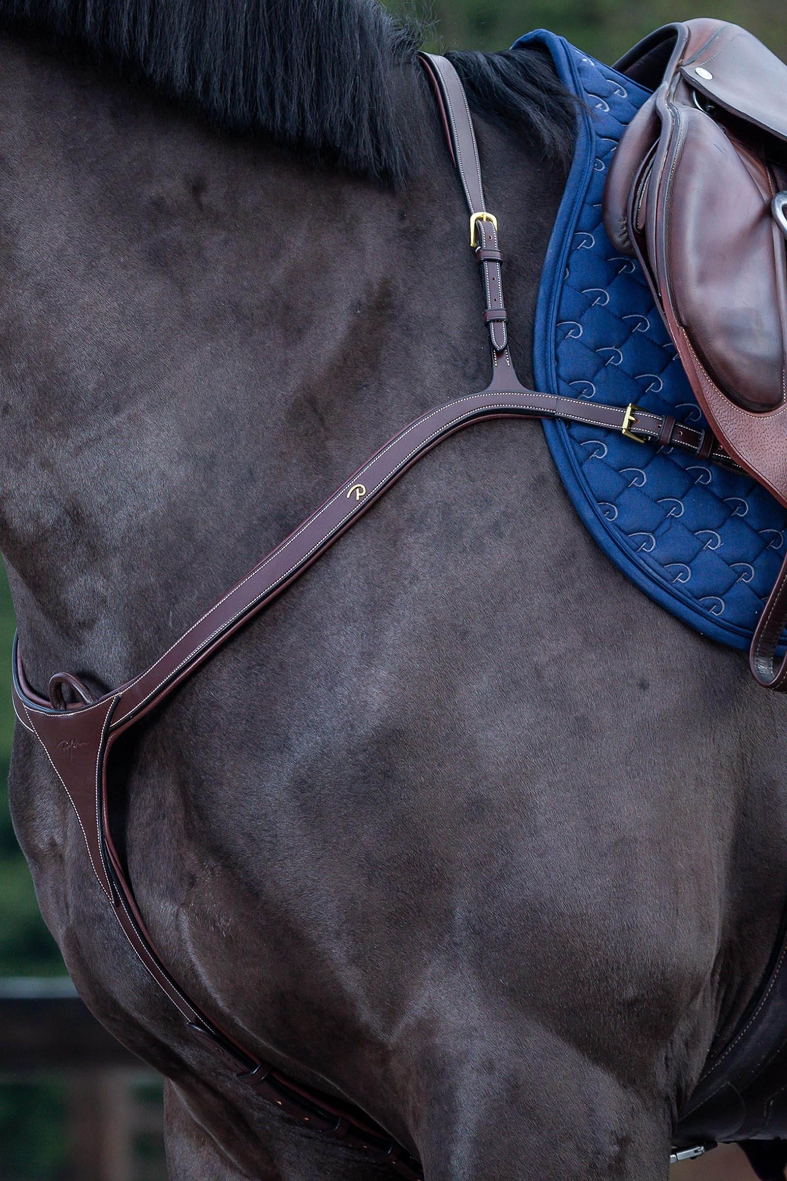 Dy'on D Collection prsní postroj s dlouhým mostem Bridles & Reins