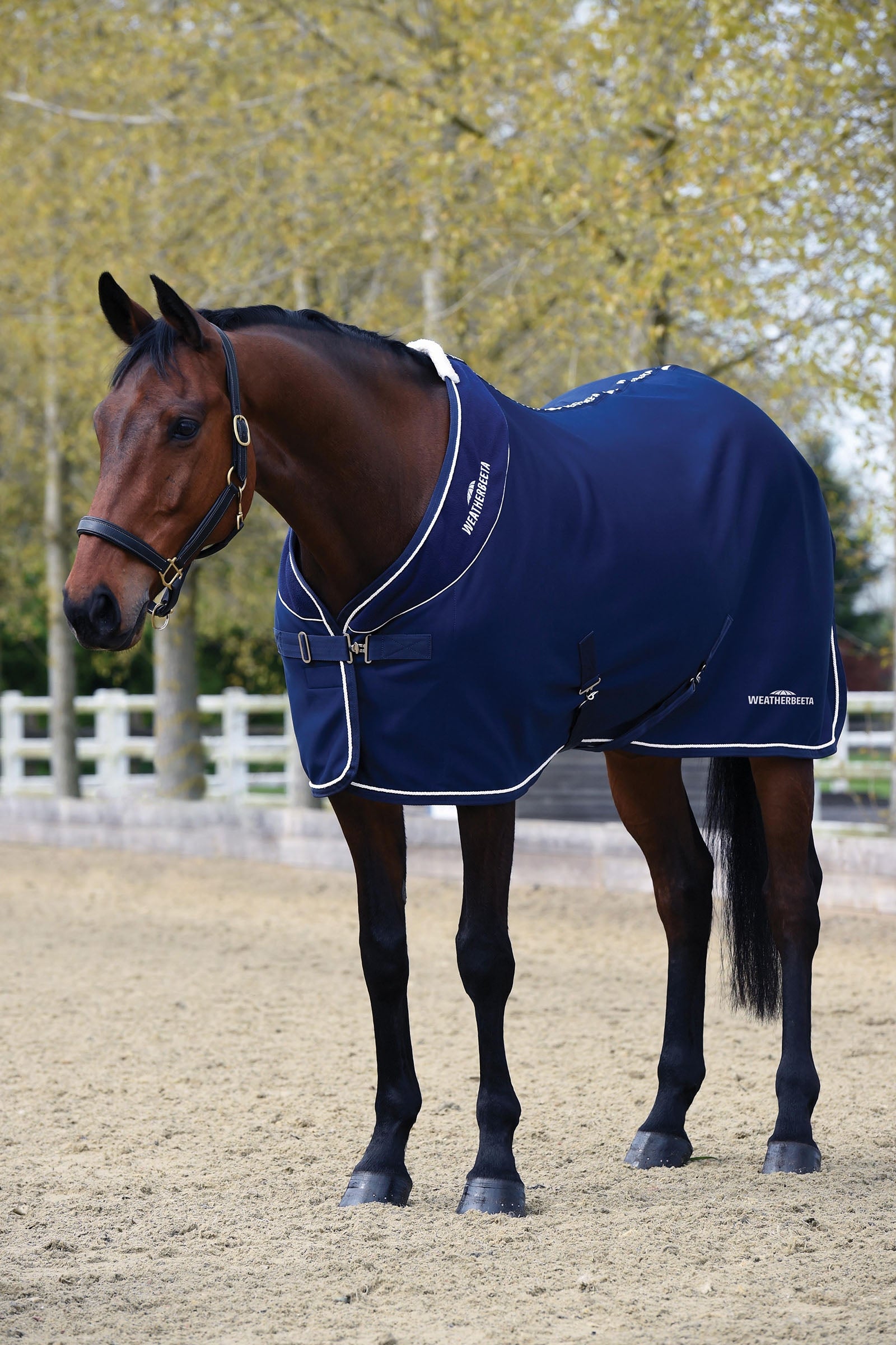 Weatherbeeta Opulence Show Sheet Standard Neck Horse Rugs