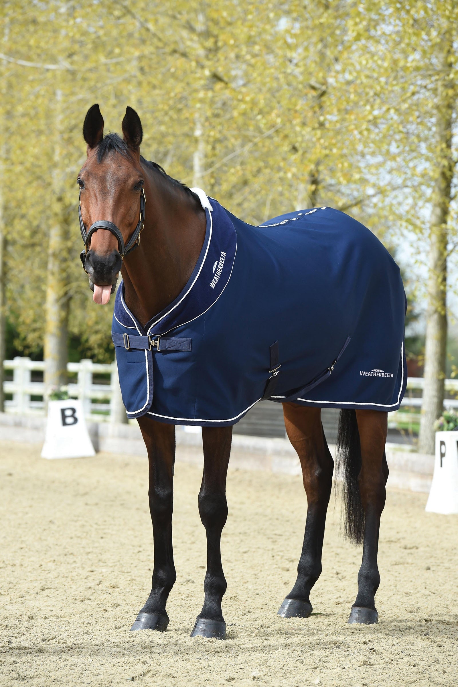 Weatherbeeta Opulence Show Sheet Standard Neck Horse Rugs