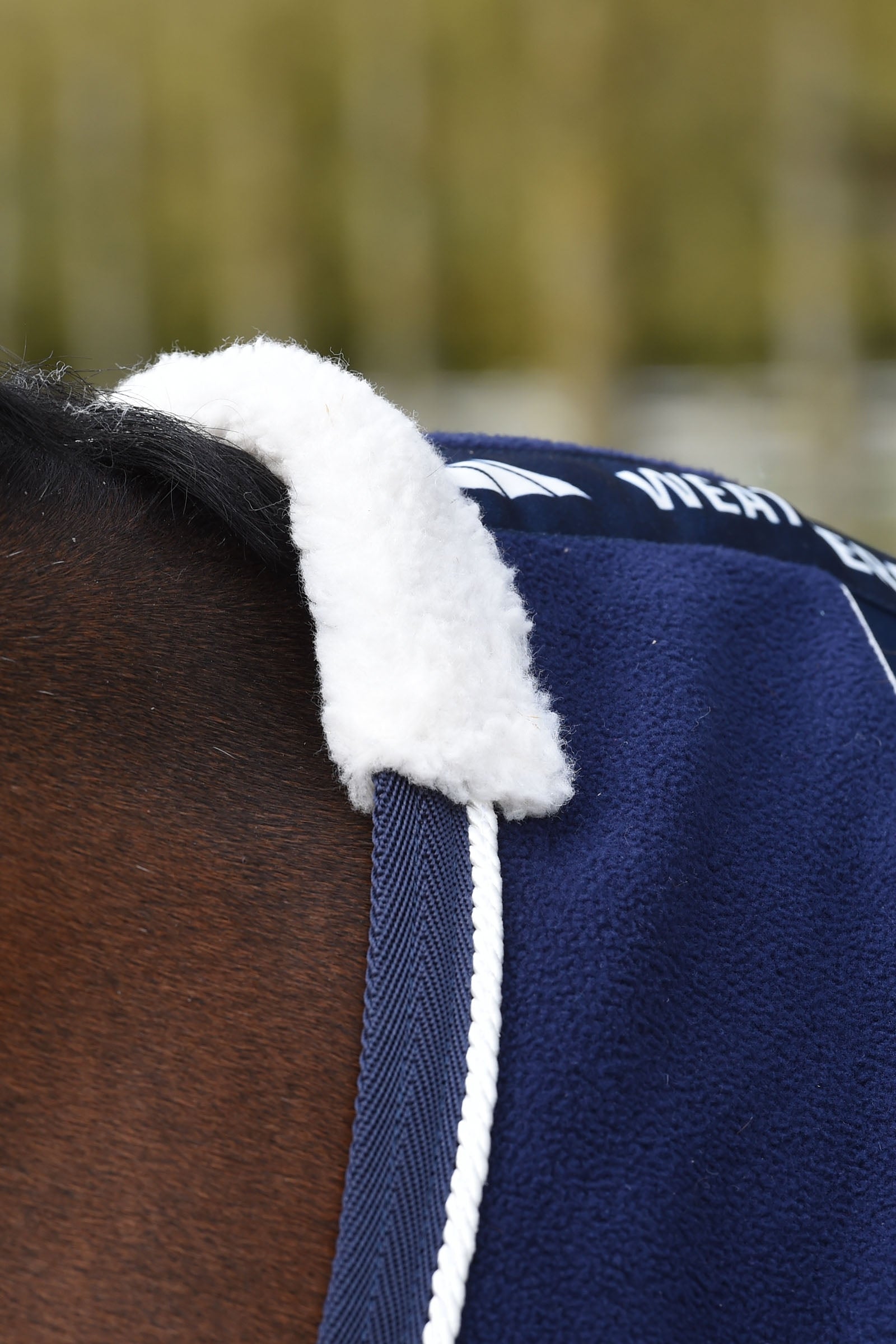 Weatherbeeta Opulence Show Sheet Standard Neck Horse Rugs