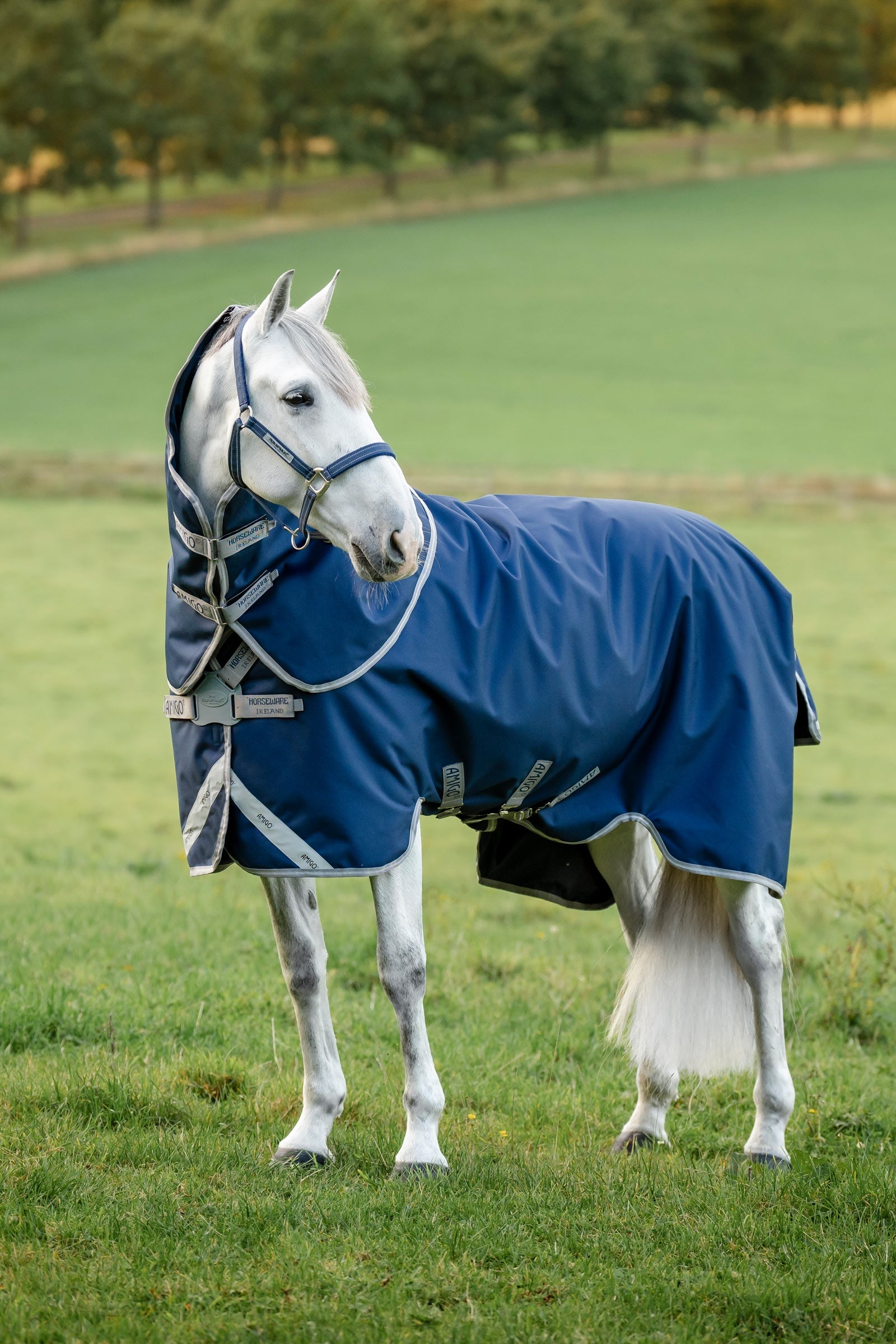 Horseware Amigo 1200D FieldSafe Plus výběhová deka, 100 g Horse Rugs