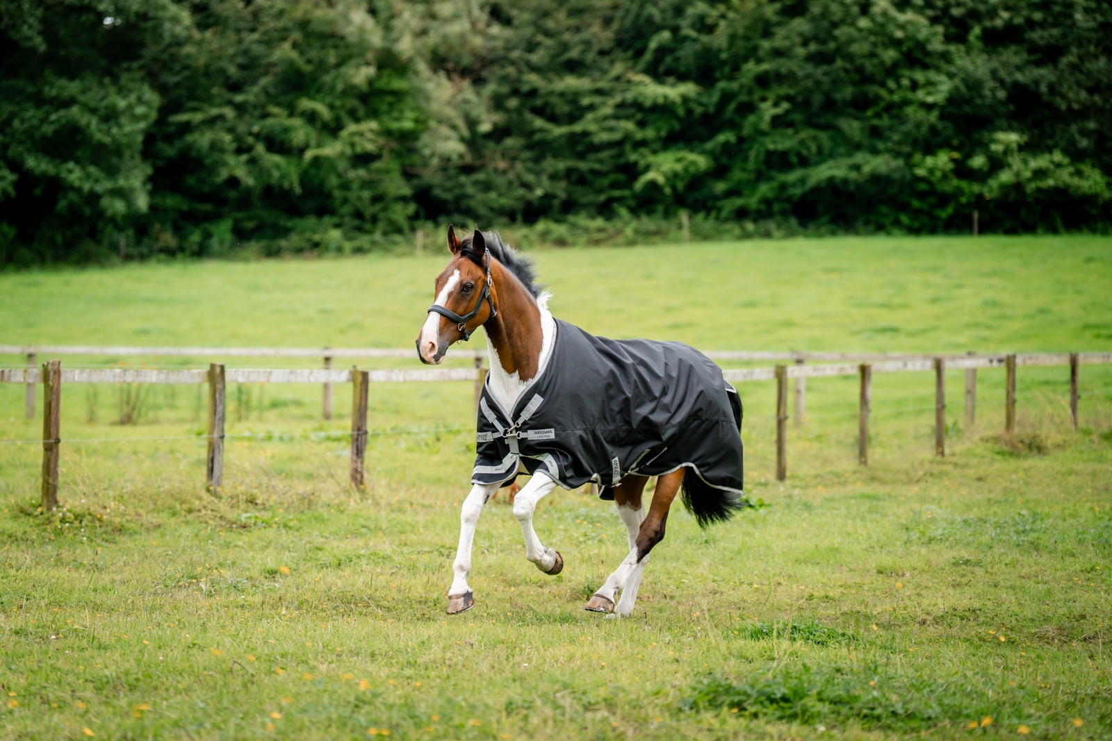 Horseware Amigo 1200D výběhová deka, 100 g Horse Rugs