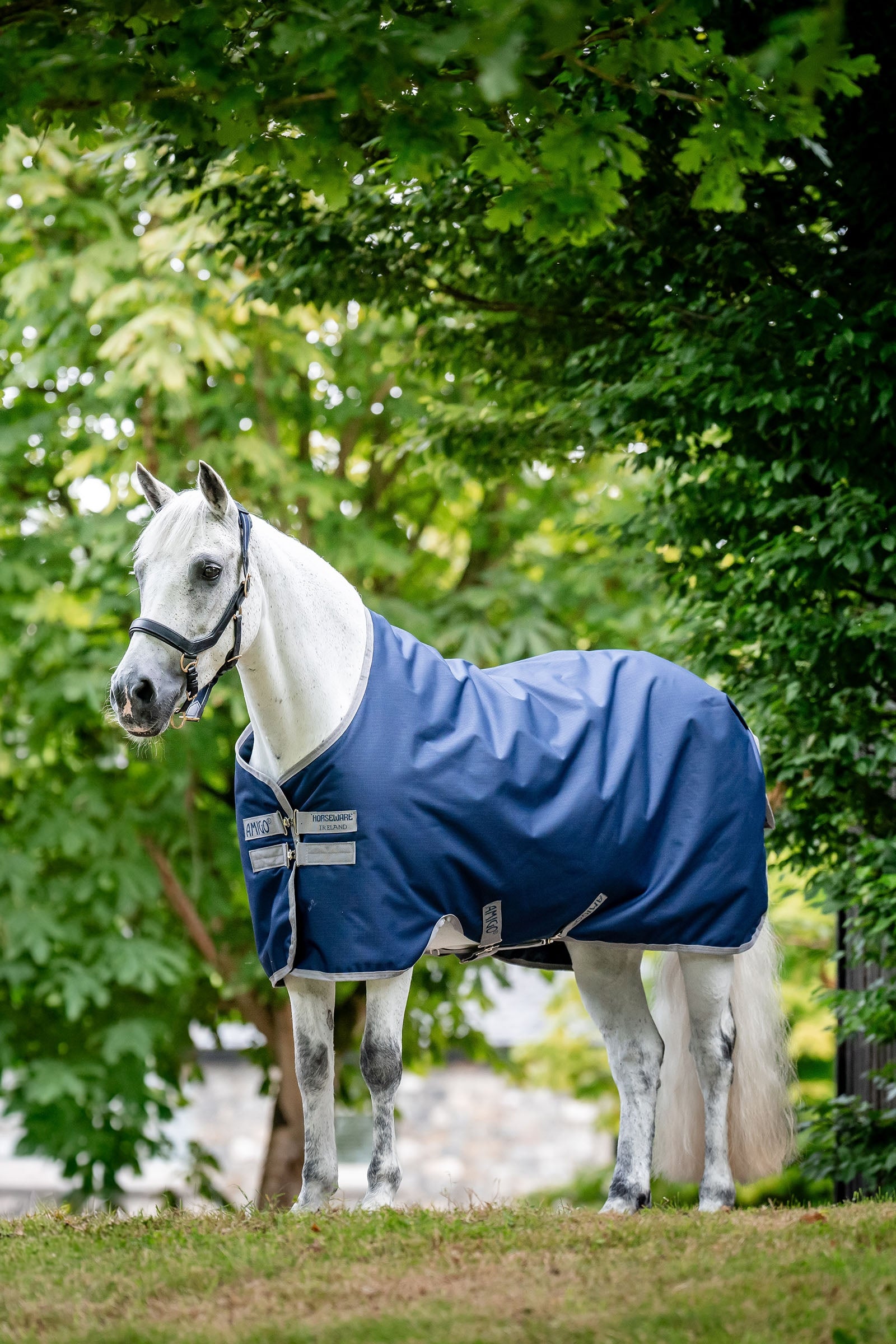 Horseware Amigo Ripstop Výběhové deky 900D, 50g Horse Rugs