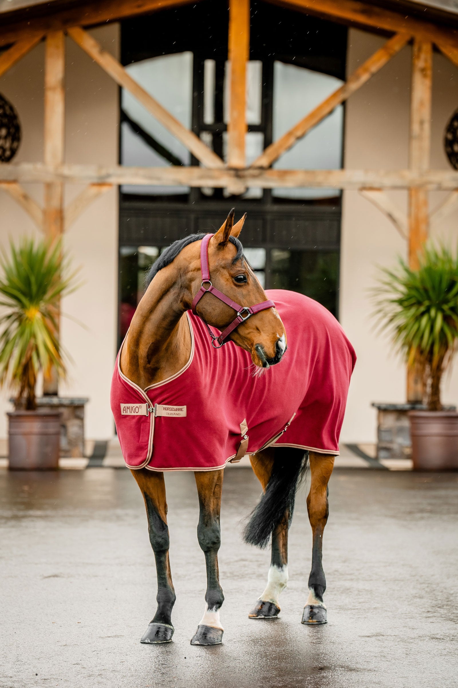 Horseware Amigo Fleecová Abschwitzdeka Horse Rugs