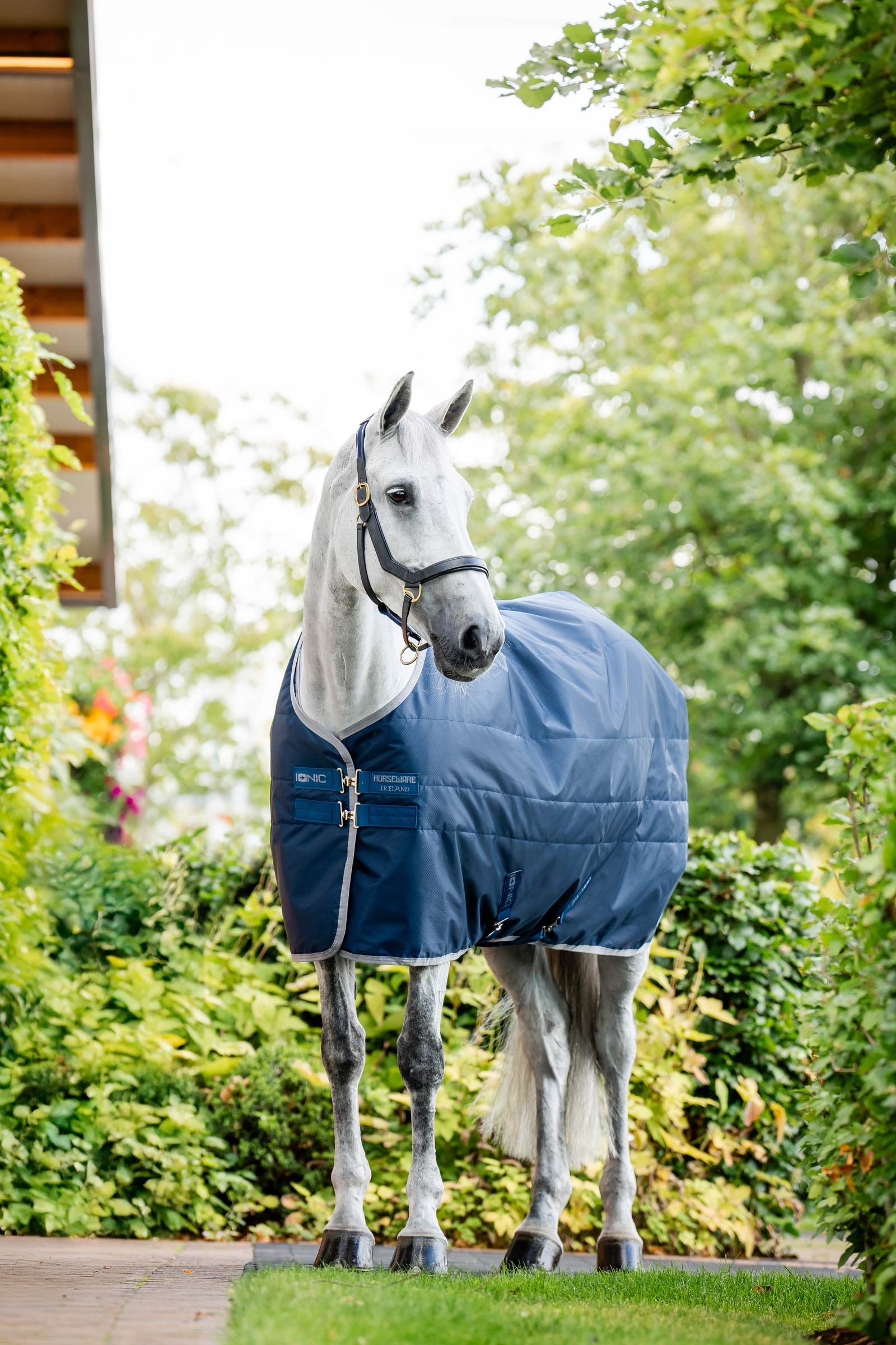 Horseware Ionic Therapy Stájový koberec, 50g Horse Rugs