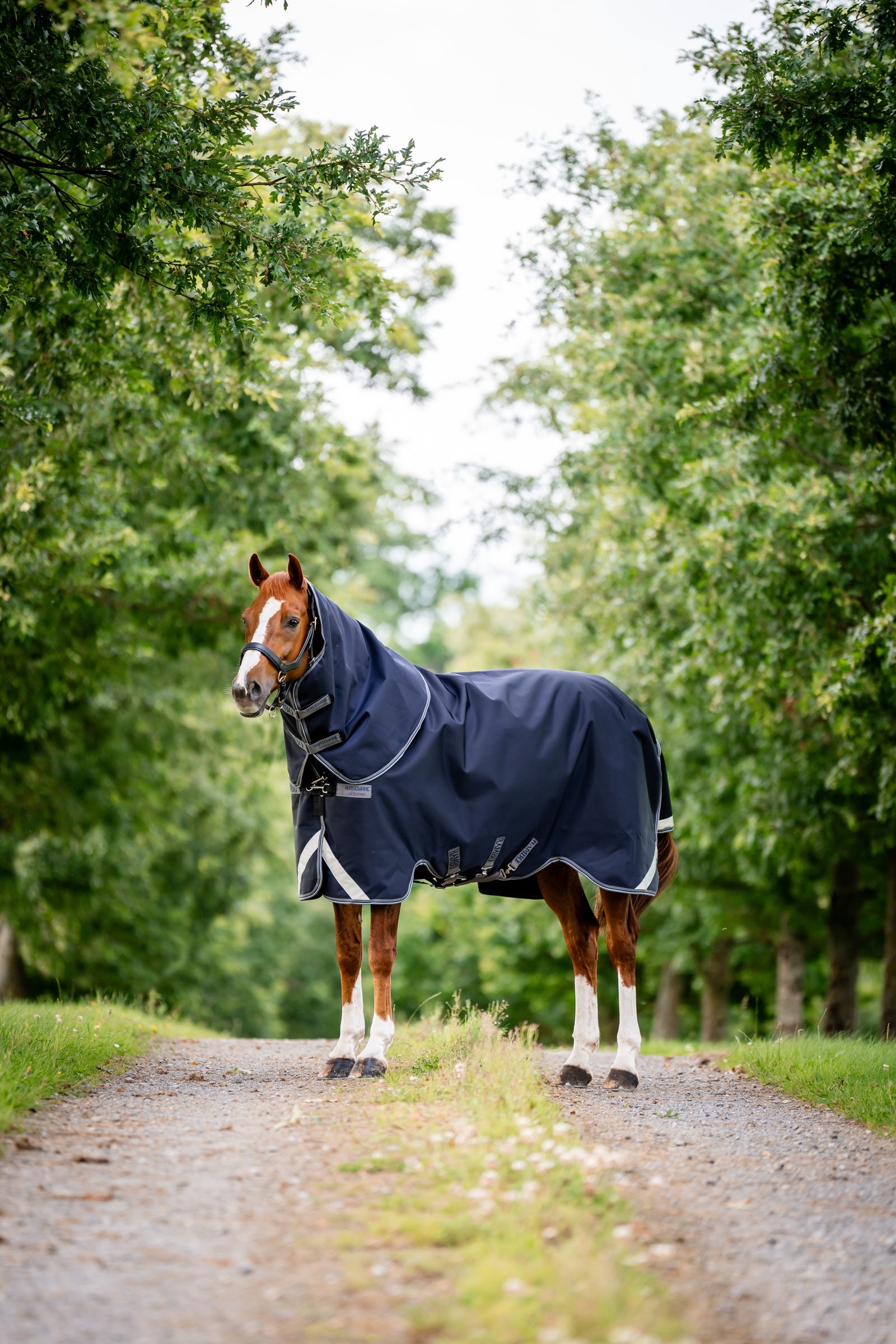 Horseware Rambo 1680D Plus Vario Layer výběhová deka, 250 g Horse Rugs