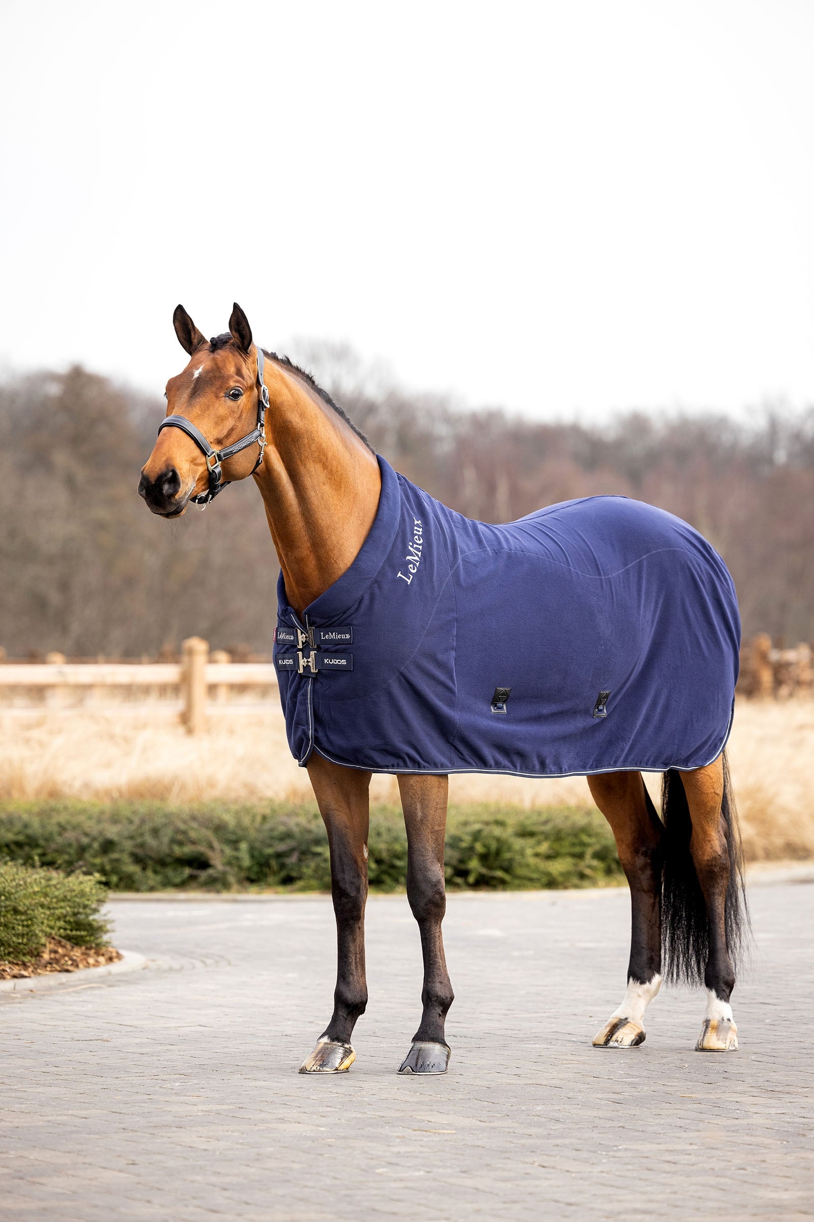 LeMieux Kudos fleecová odpocovací deka Horse Rugs