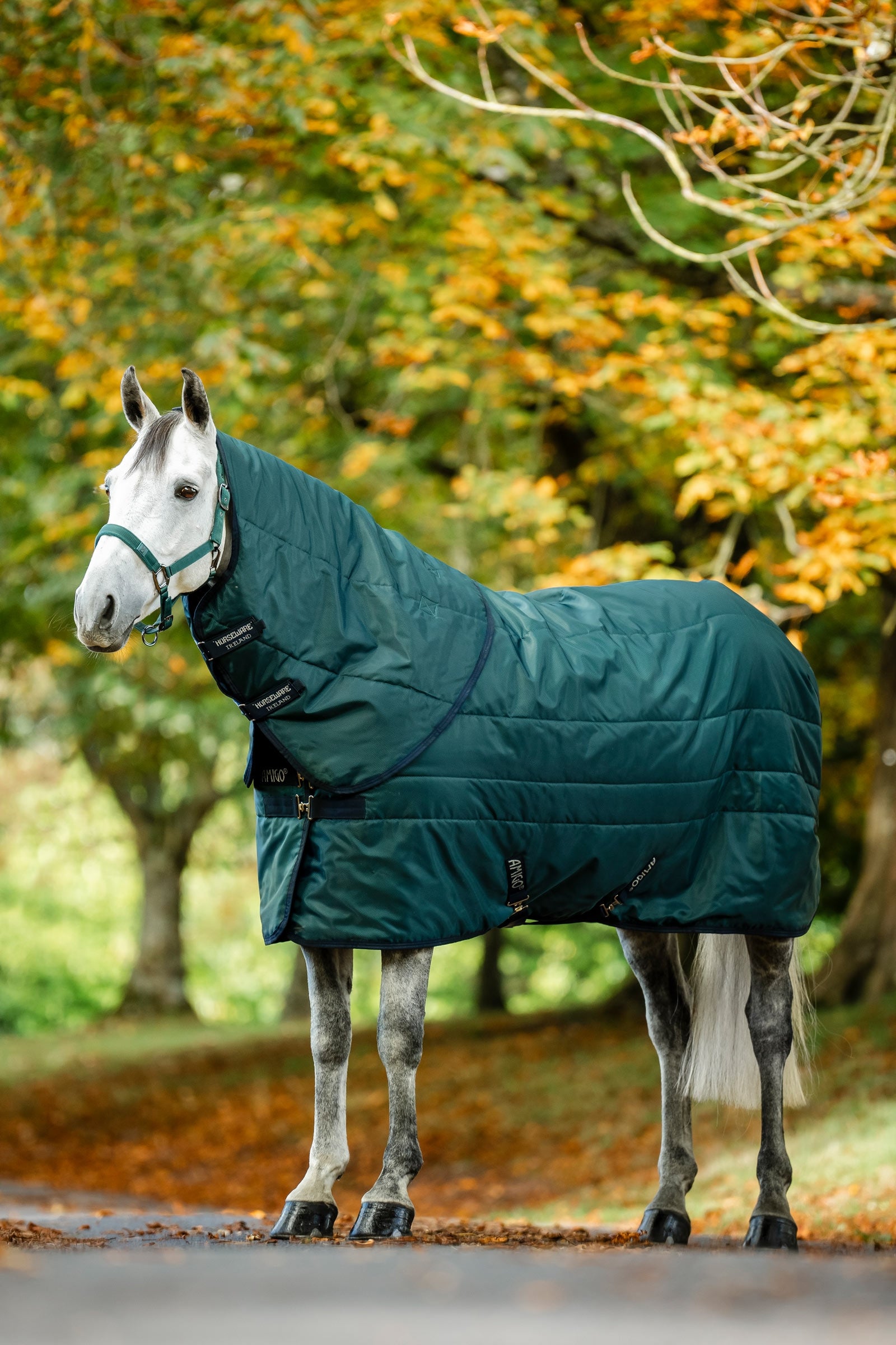 Horseware Amigo Ripstop Insulator Stájový deky 50g Horse Rugs