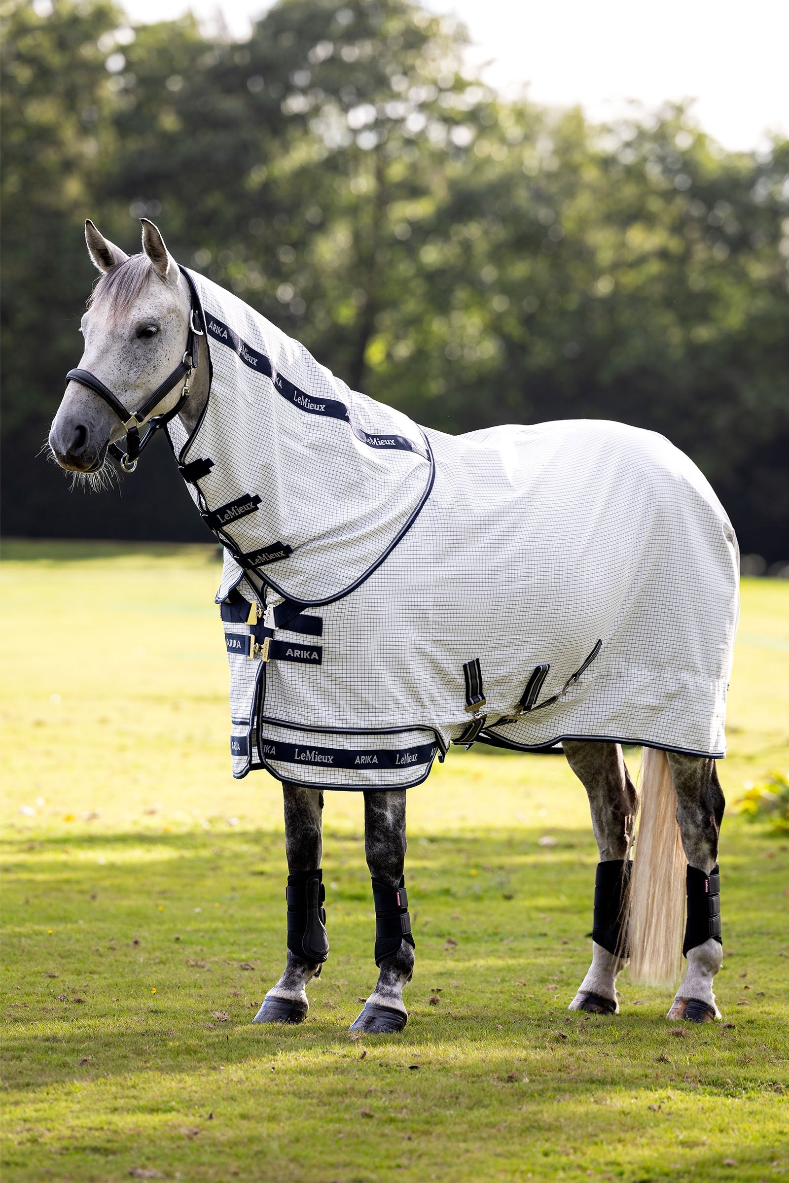 LeMieux Arika 450D výběhové deky s odnímatelným krčním dílem, 0g Horse Rugs