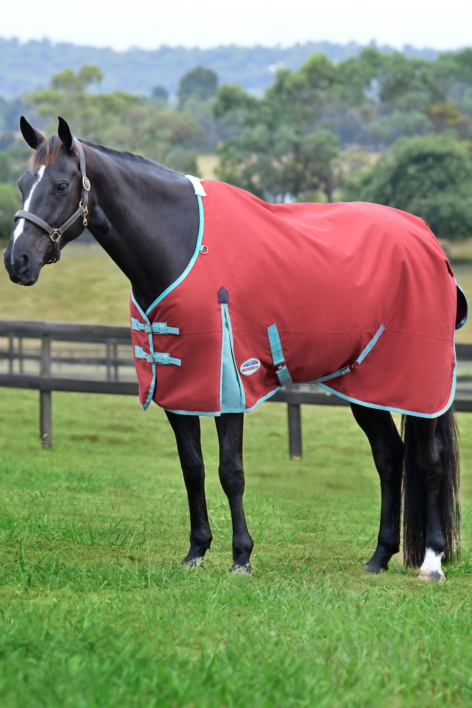 Weatherbeeta Comfitec Essential Plus výběhová deka, 50g Horse Rugs
