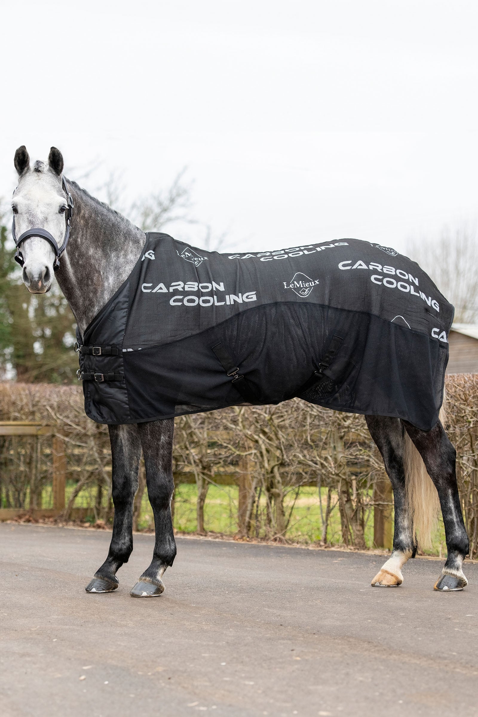 LeMieux karbonová odpocovací deka Horse Rugs