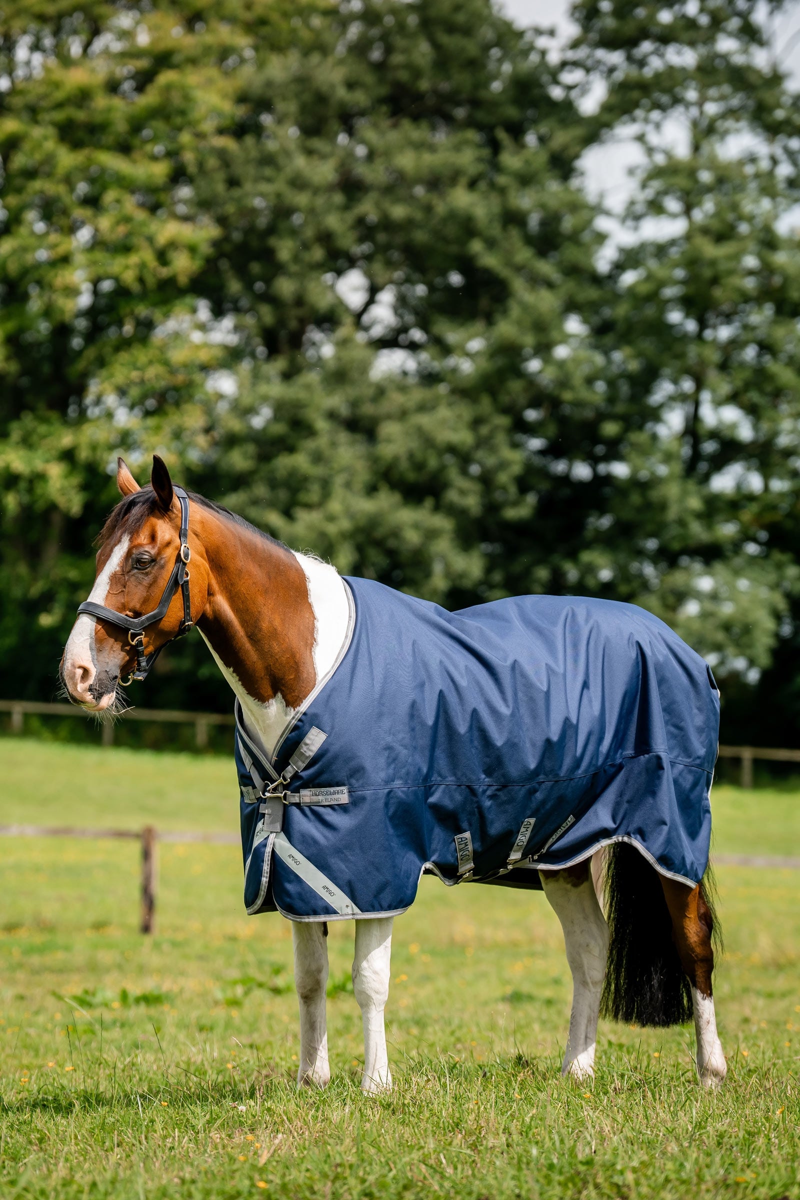 Horseware Amigo 1200D výběhová deka, 250 g Horse Rugs