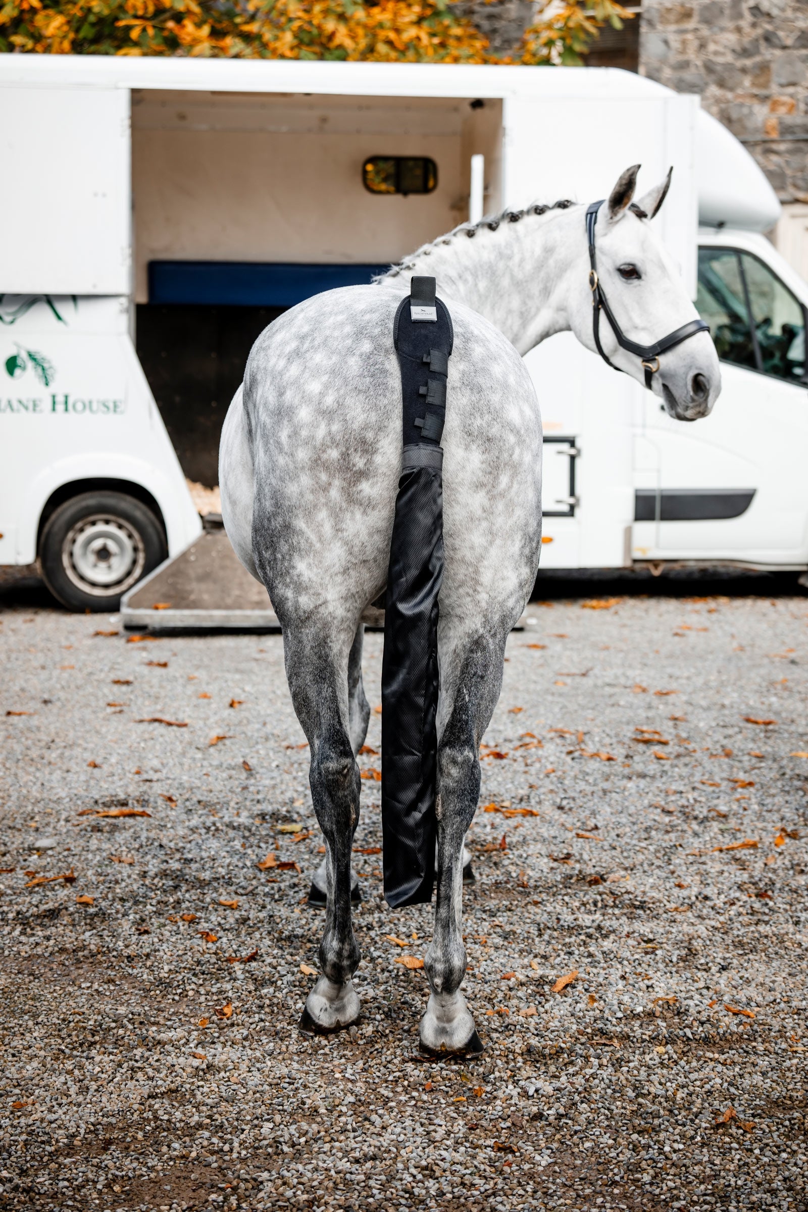 Horseware Ochrana ocasu s vakem Horse Rugs