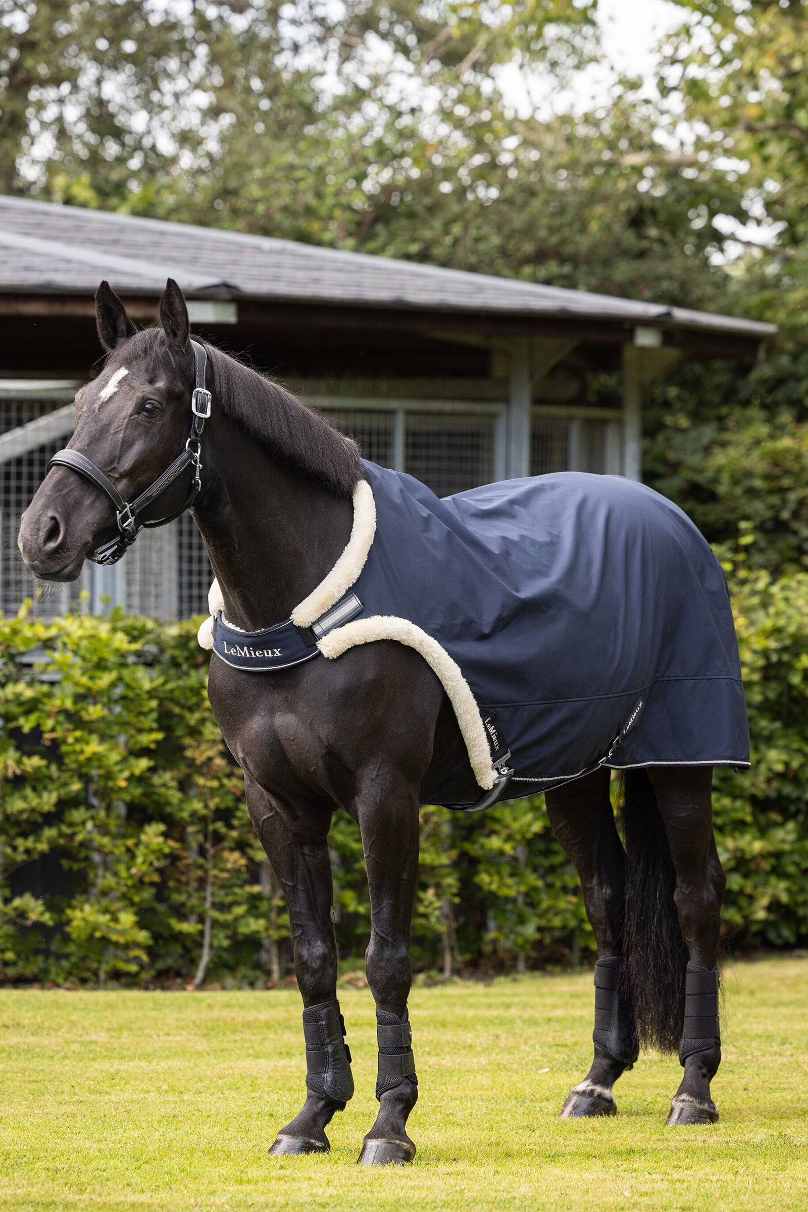 LeMieux Průvodní prostěradlo Horse Rugs