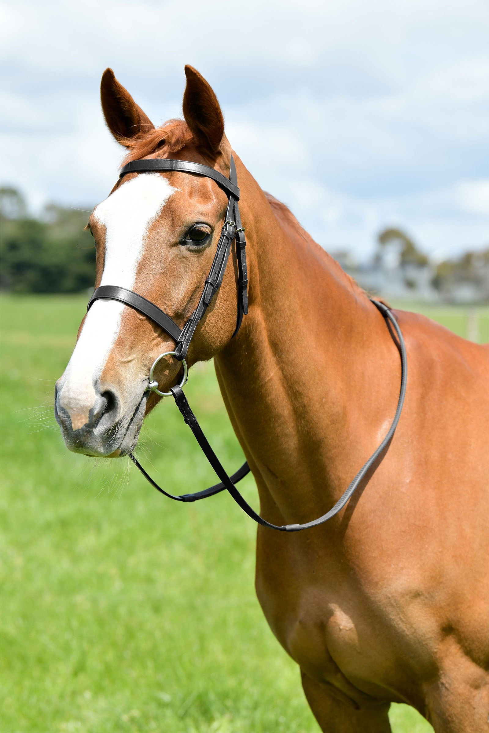 Kincade Classic plochá lovecká uzdečka se třmeny Bridles & Reins
