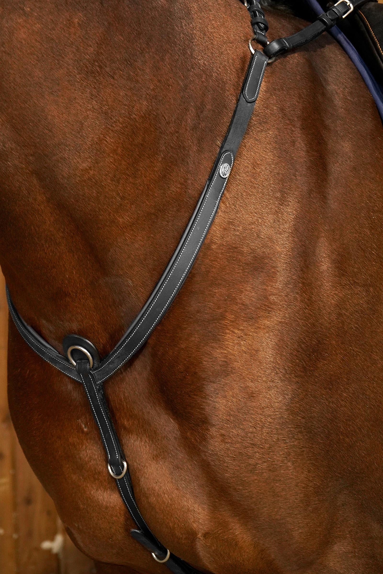 Dy'on Working prsní postroj s mostem Bridles & Reins