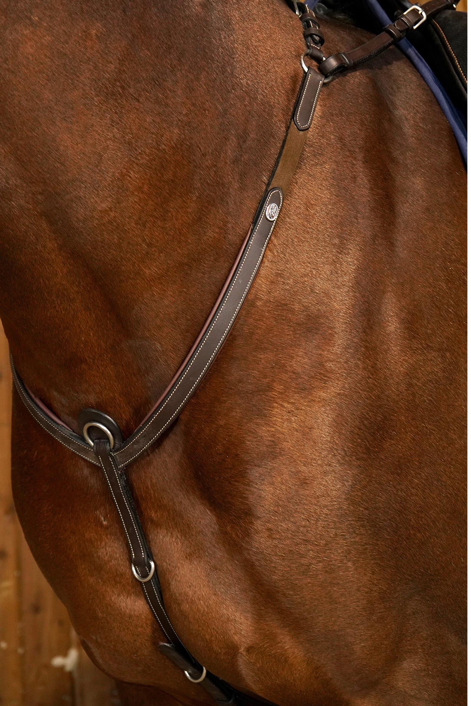 Dy'on Working prsní postroj s mostem Bridles & Reins