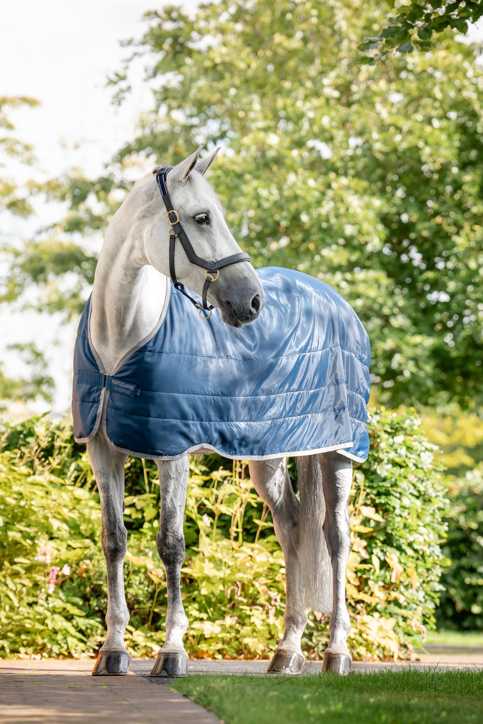 Horseware Ionic Therapy podšívka 200 g Horse Rugs