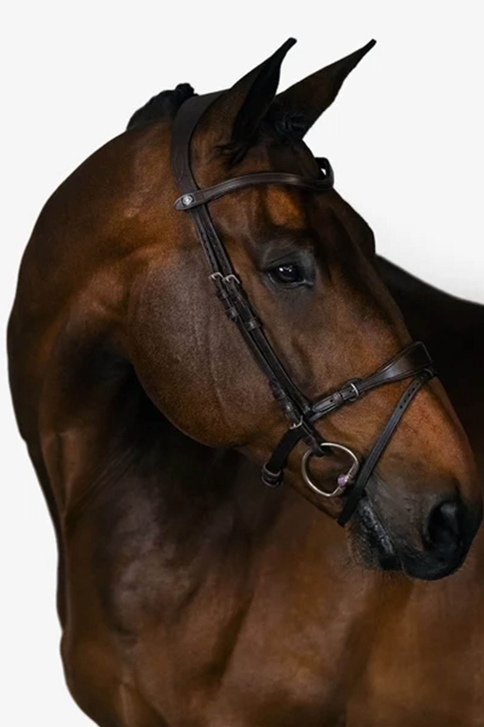 PS of Sweden Uzda, Mary Lou od Henrik von Eckermann Bridles & Reins