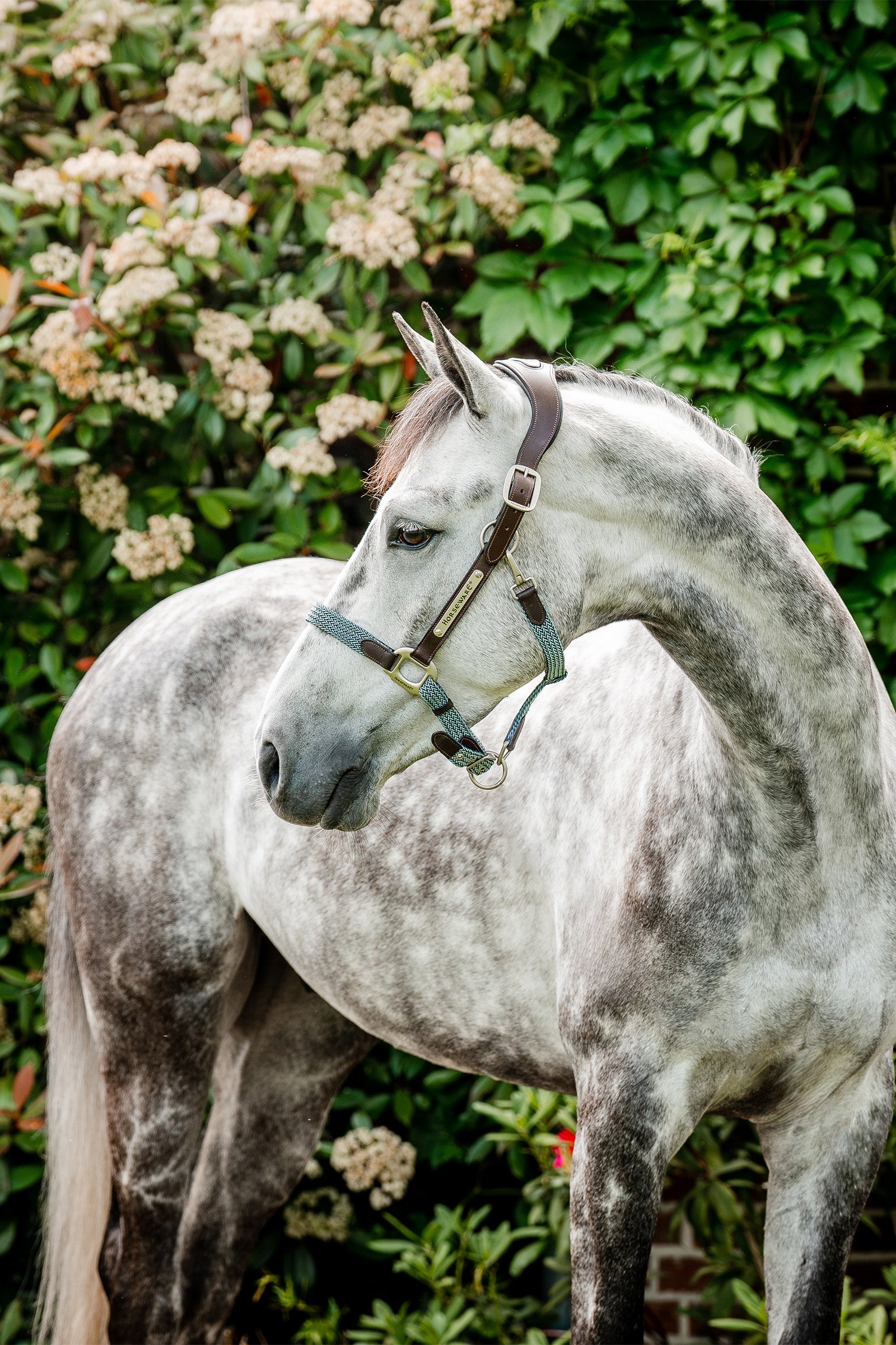 Horseware Pletené ohlávky Signature Halters & Leads