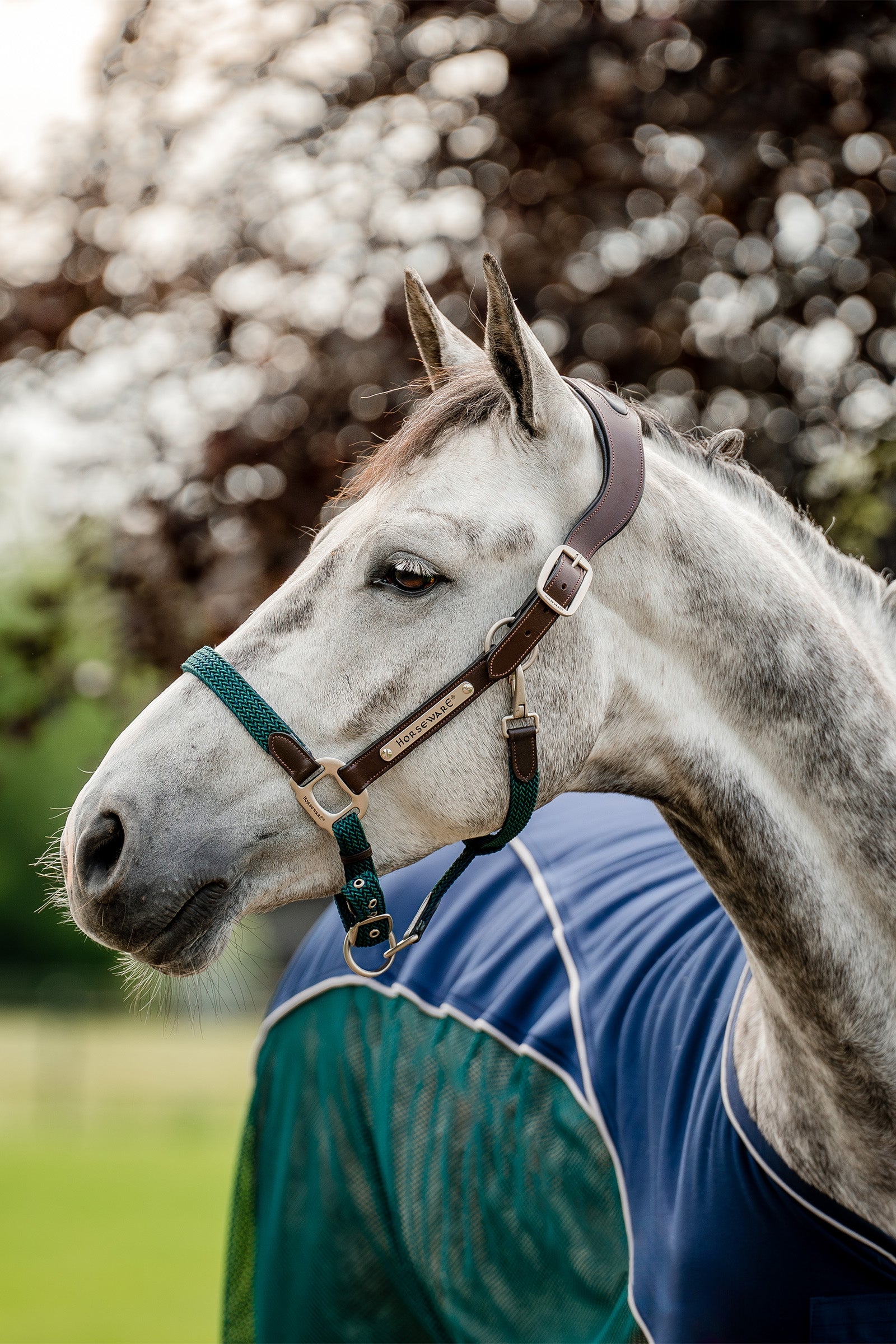 Horseware Pletené ohlávky Signature Halters & Leads
