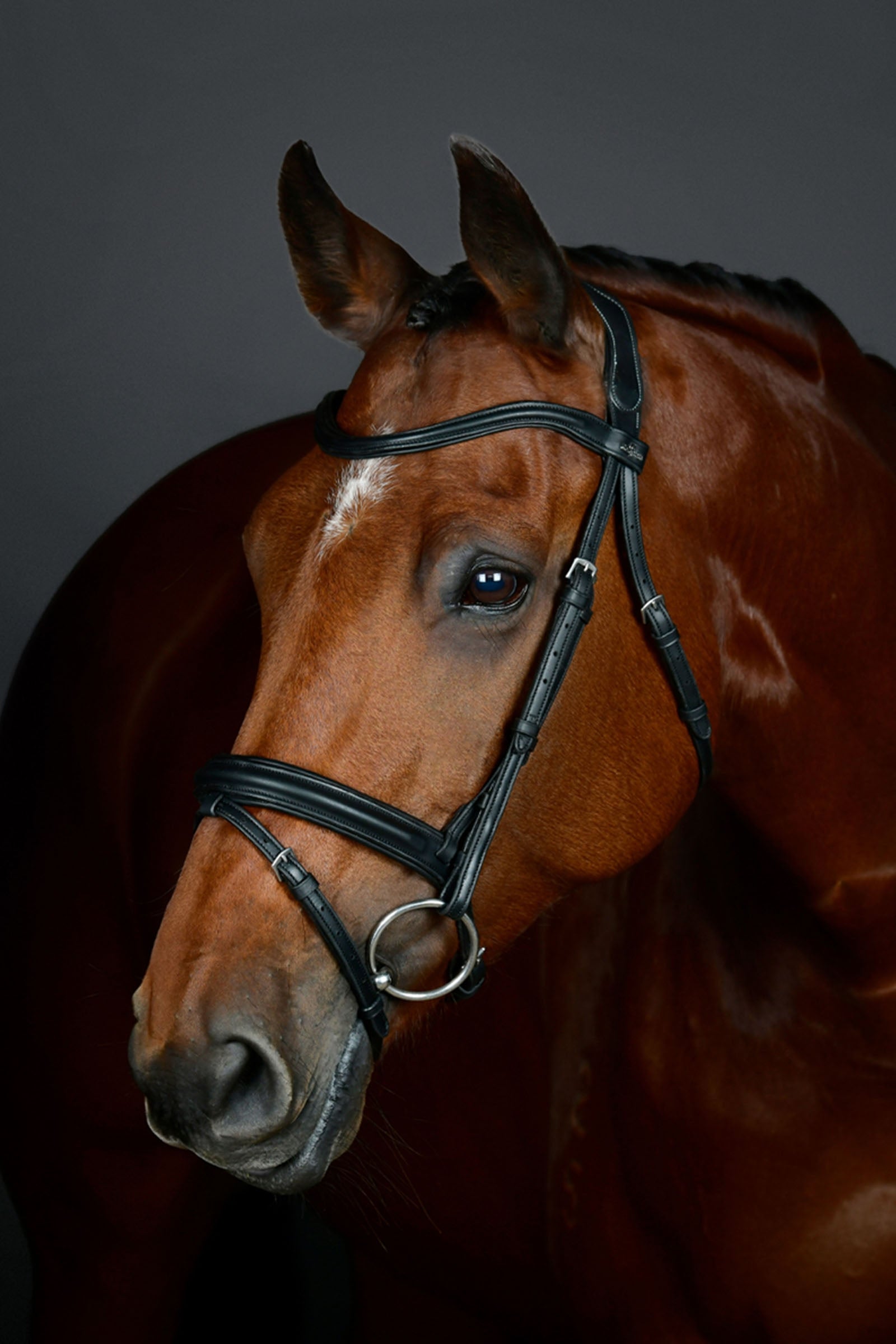 Collegiate Comfitec Opulux jednoduchá podložená uzdečka s kombinovaným hannoverským nánosníkem Bridles & Reins
