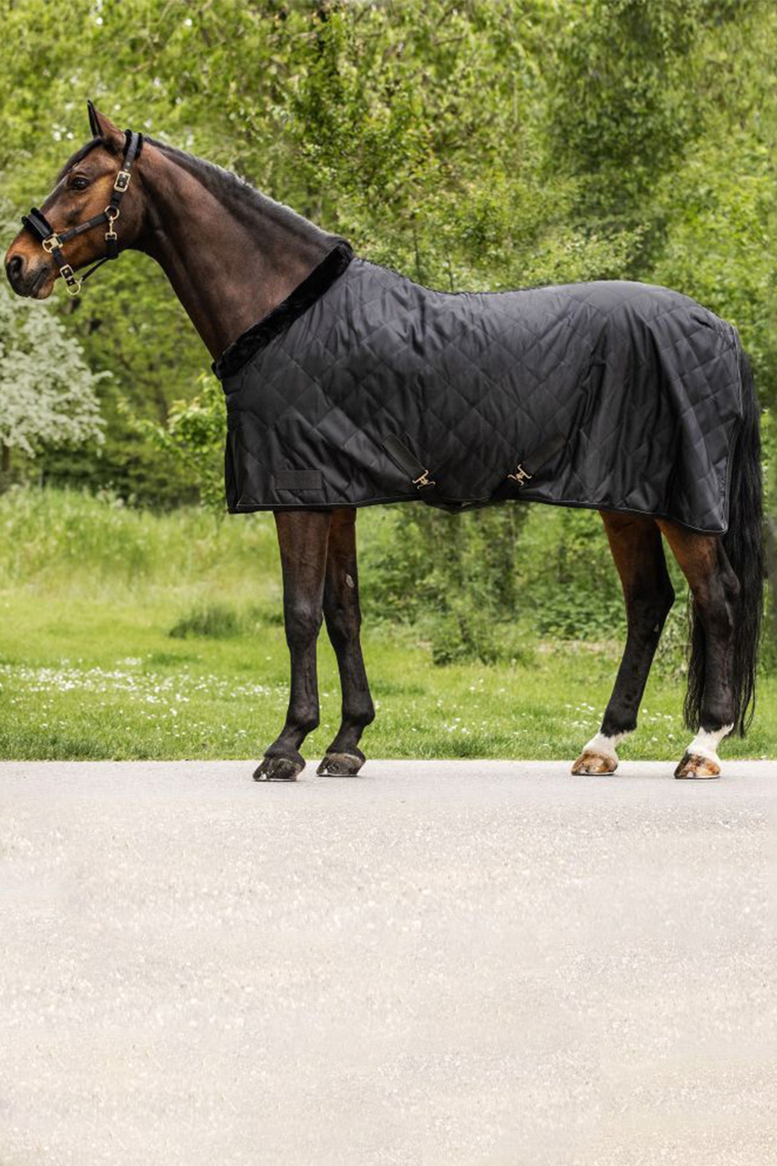 Waldhausen Exclusive Cestovní prostěradlo, 50g Horse Rugs