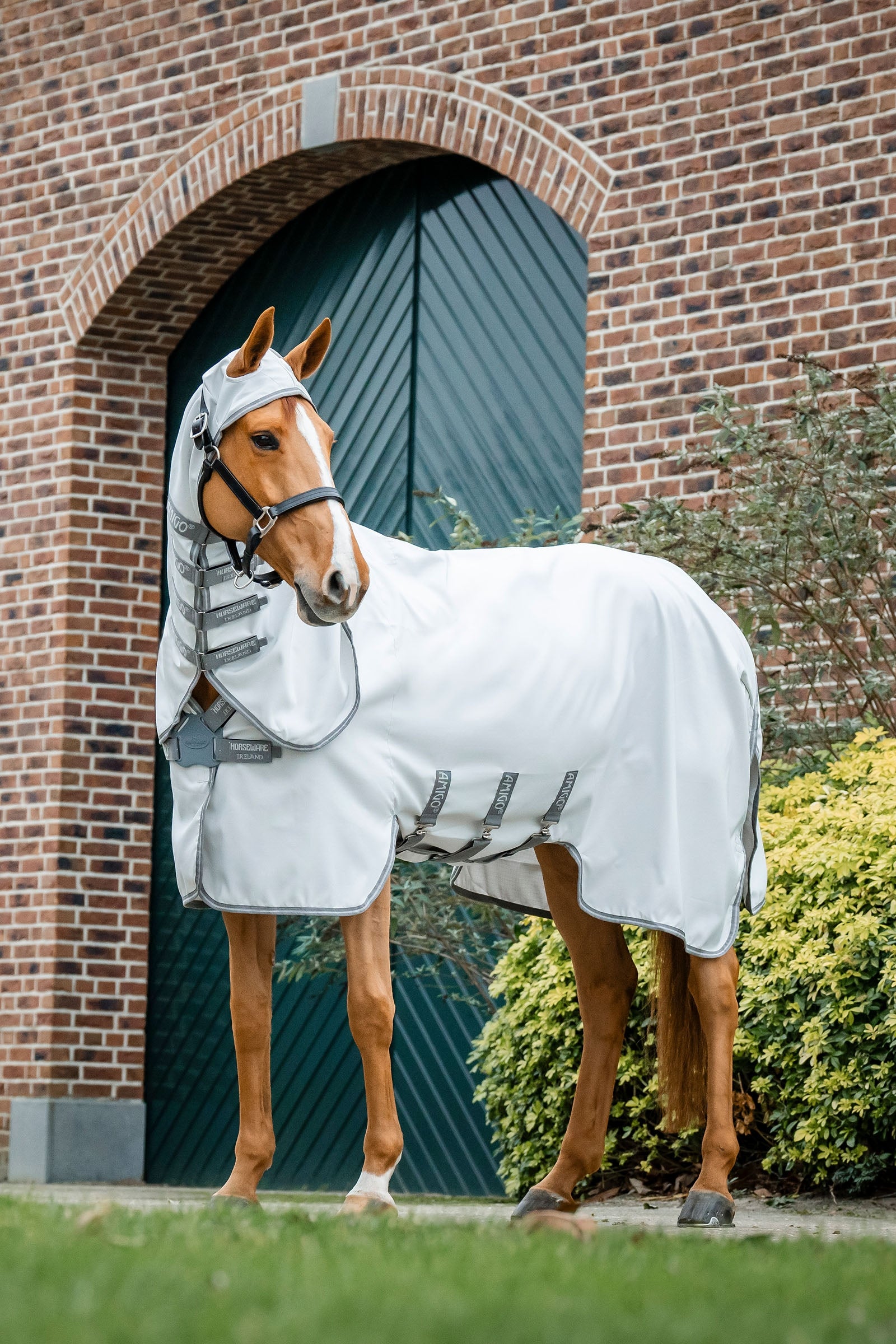 Horseware Amigo Ripstop Deka proti hmyzu Horse Rugs