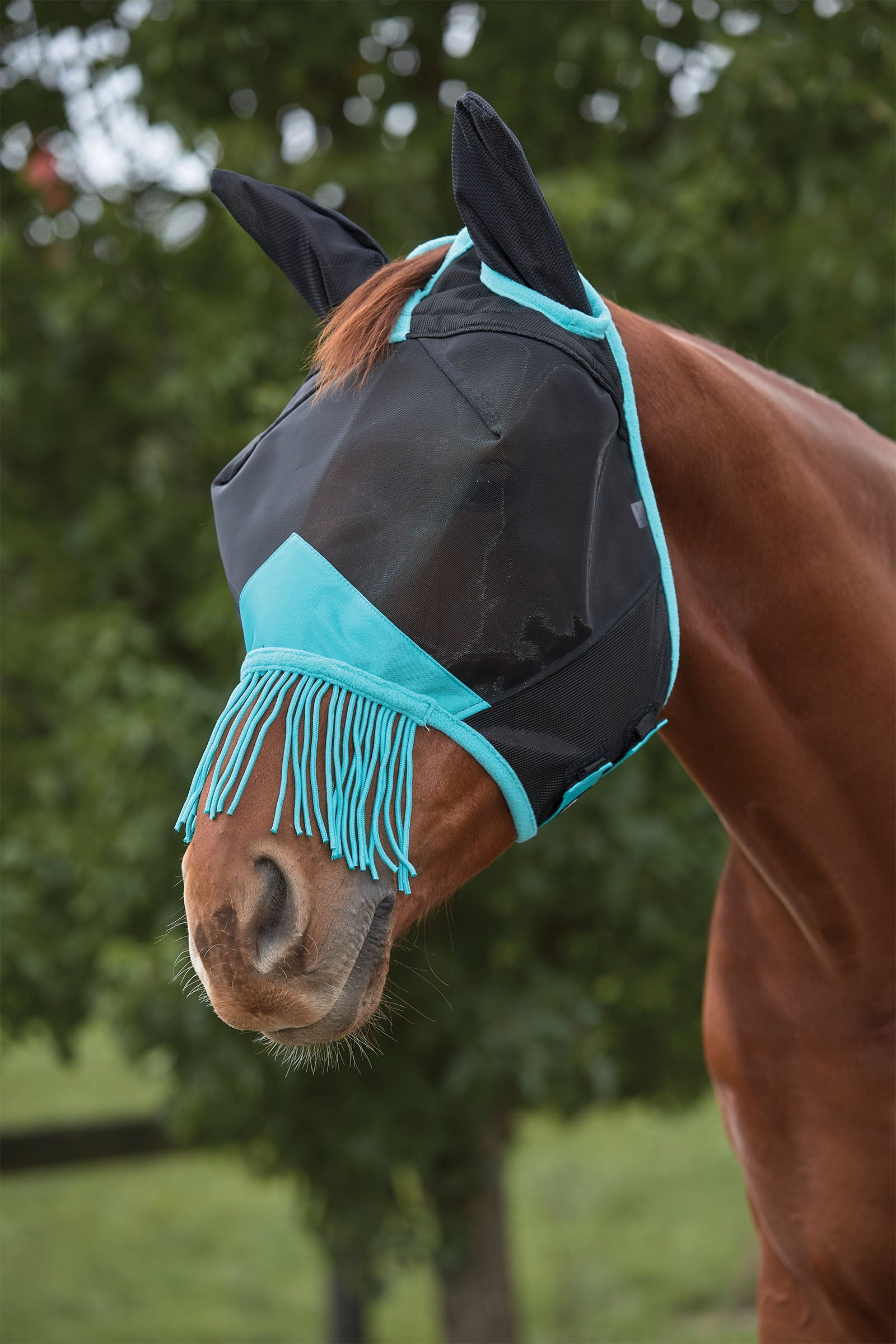 Weatherbeeta Comfitec Deluxe jemná síťovaná maska s ušima a třásněmi Antifly Protection for Horses