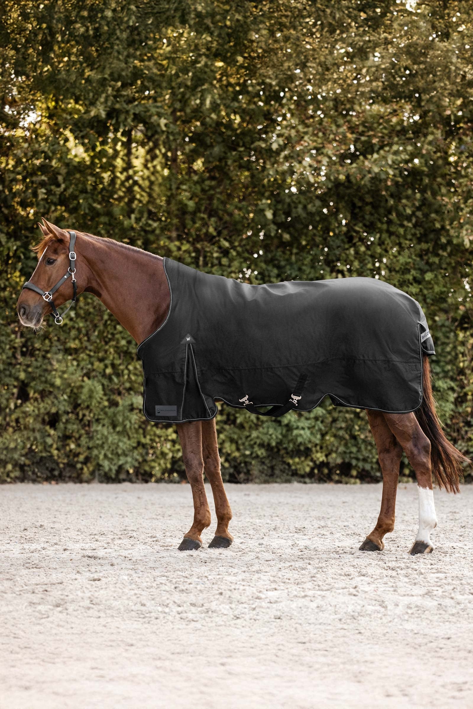 Waldhausen Arctic Výběhové deky s vysokým krkem, 0 g Horse Rugs